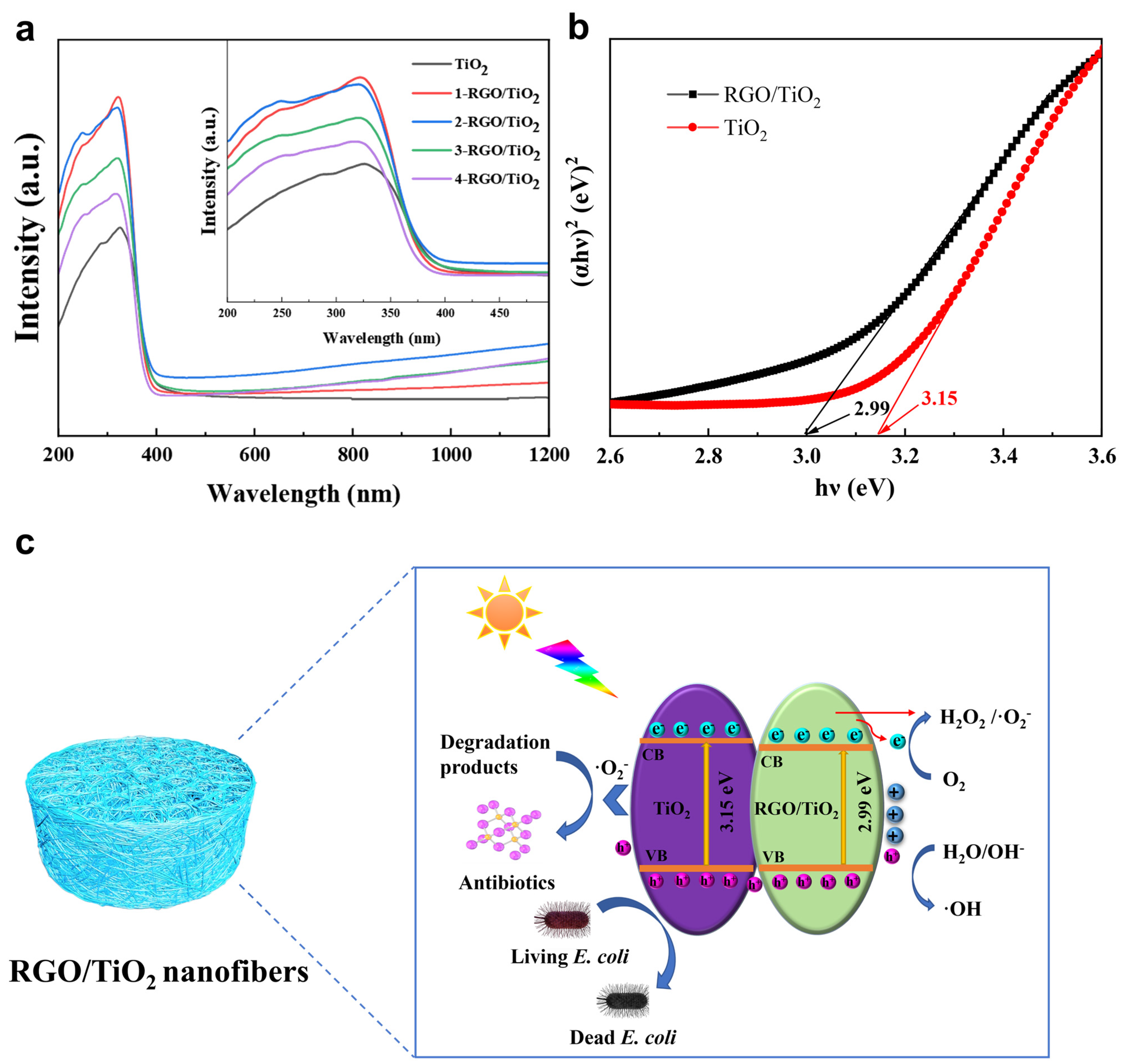 Nanomaterials 13 02954 g008