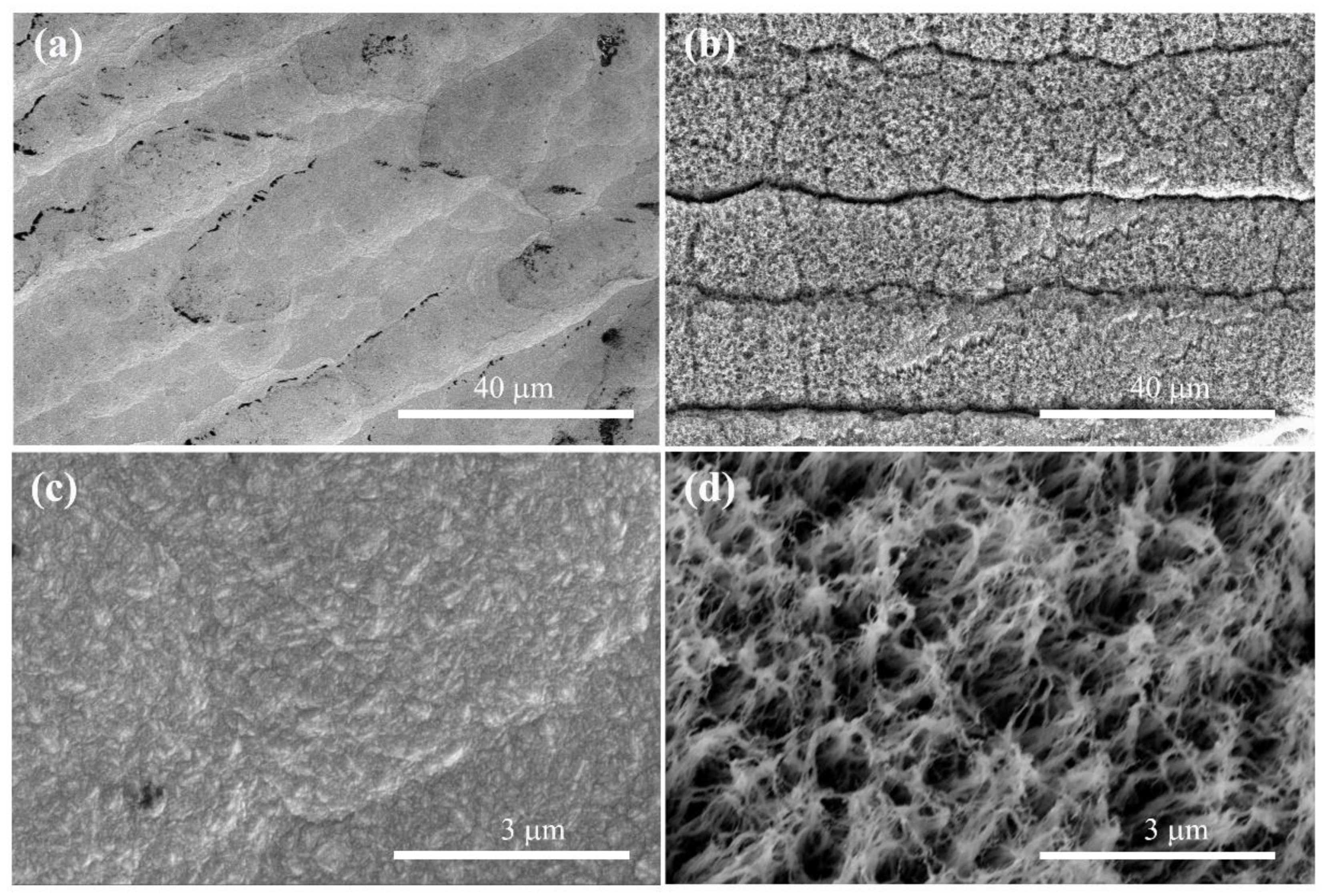 Nanomaterials 13 02955 g001