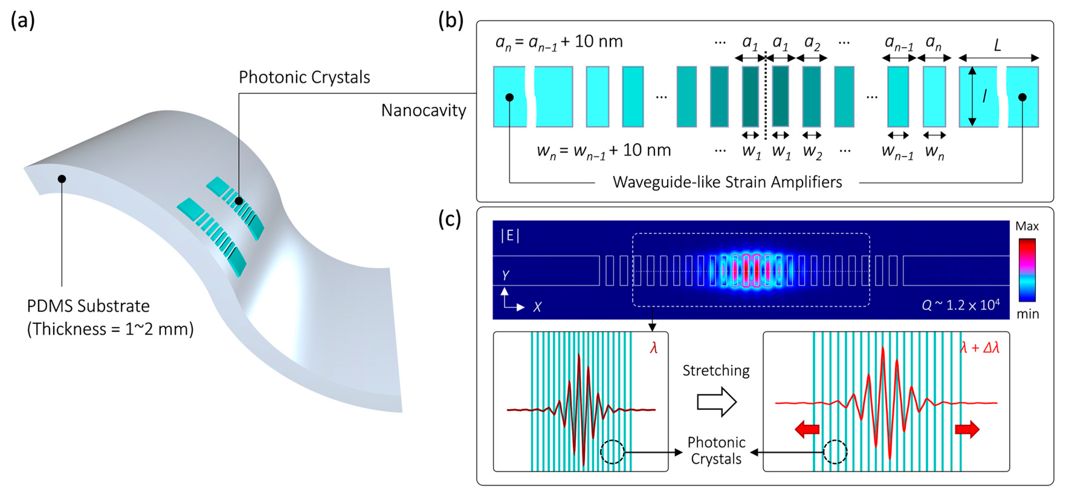 Nanomaterials 13 02956 g001