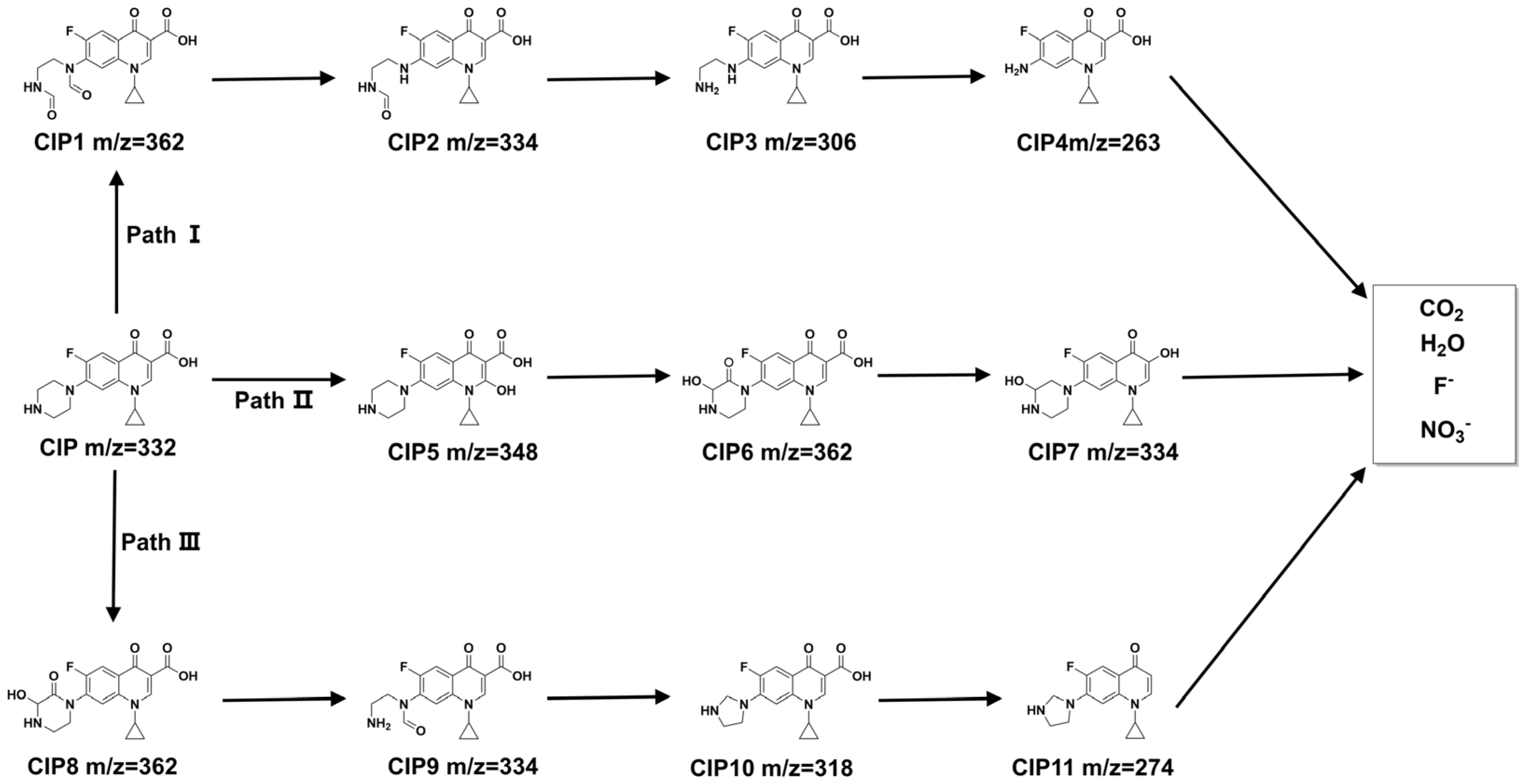 Nanomaterials 13 02964 g006