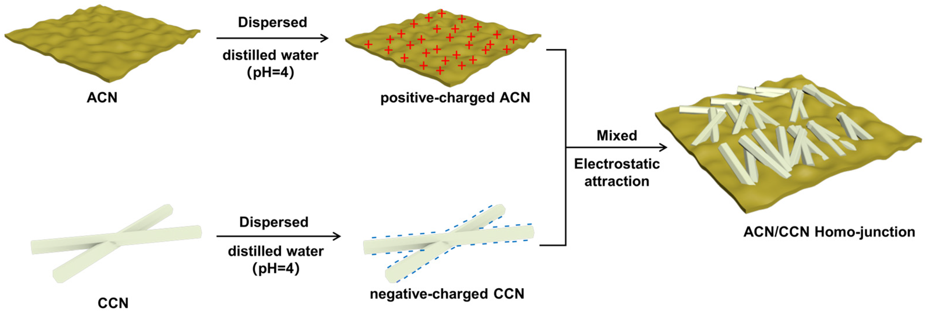 Nanomaterials 13 02964 sch001