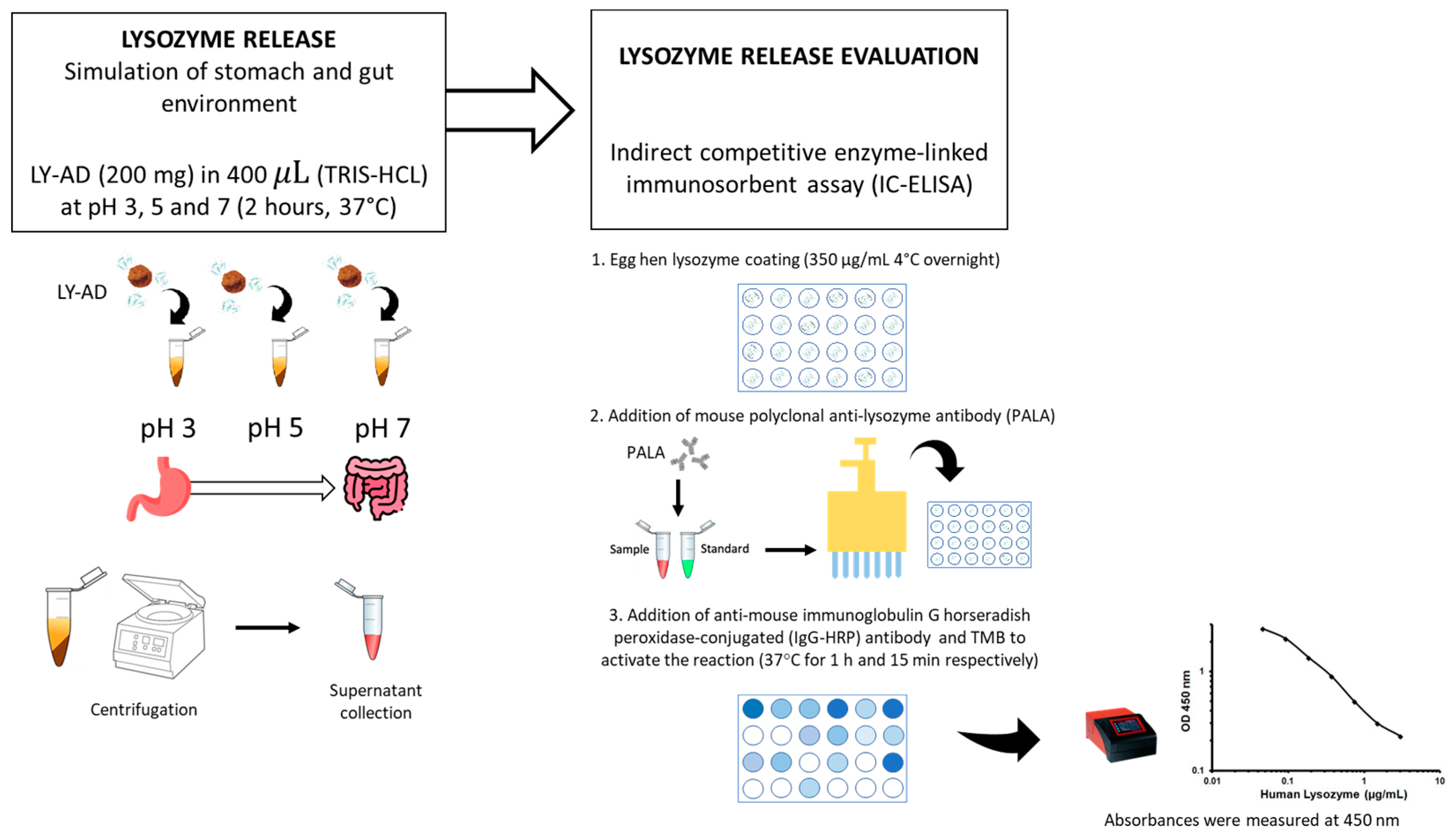 Nanomaterials 13 02965 g002
