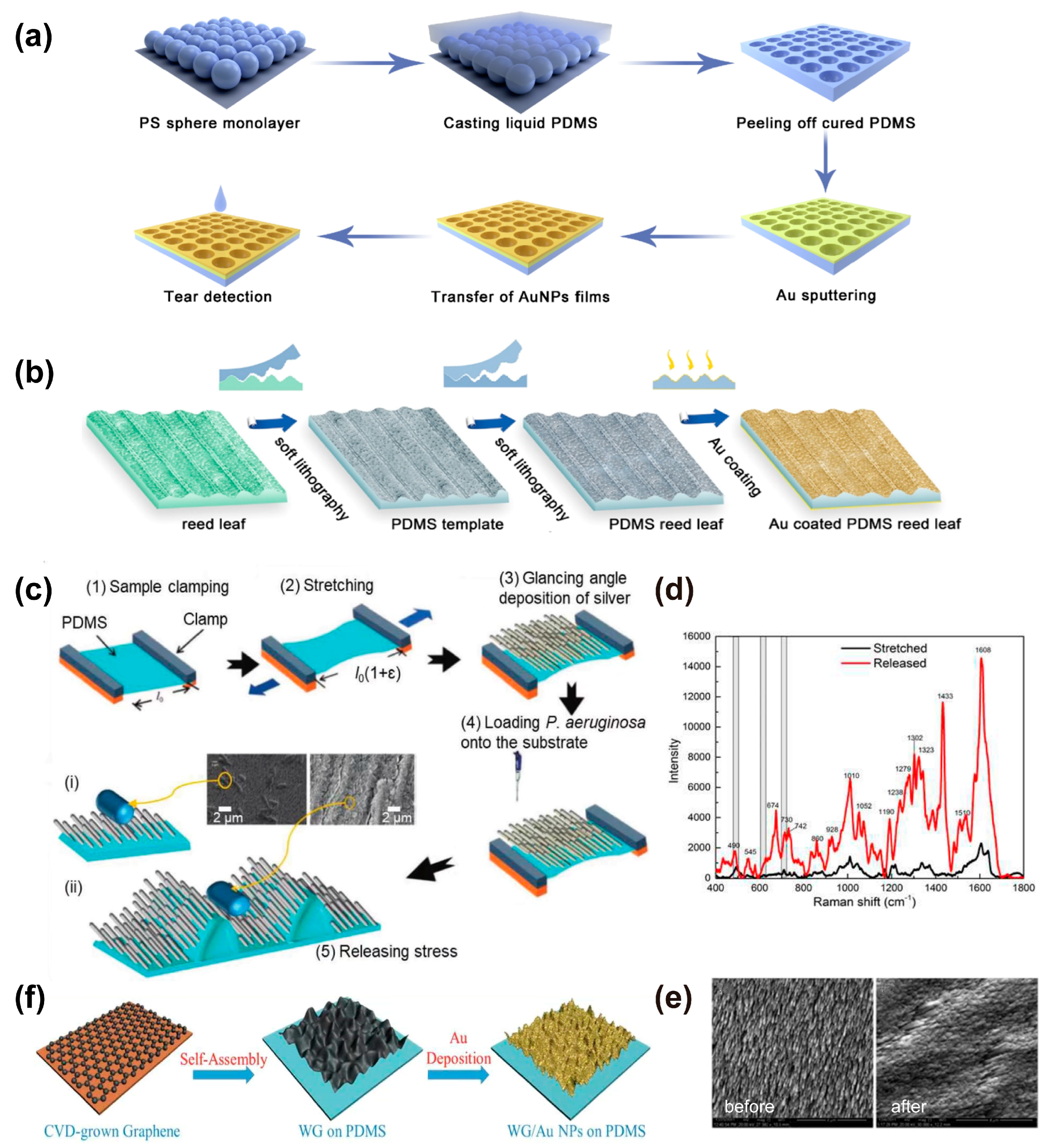 Nanomaterials 13 02968 g004