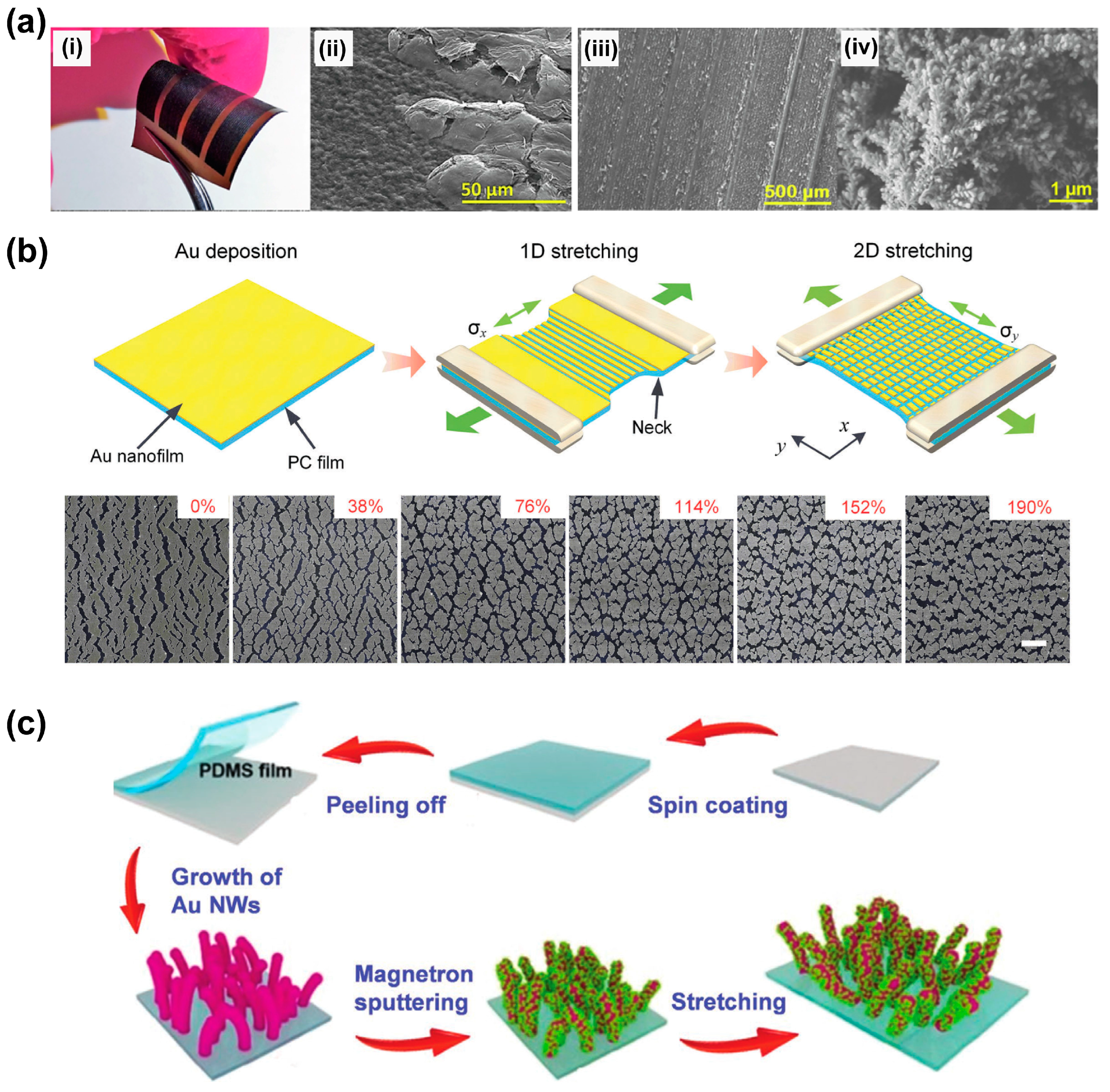 Nanomaterials 13 02968 g007
