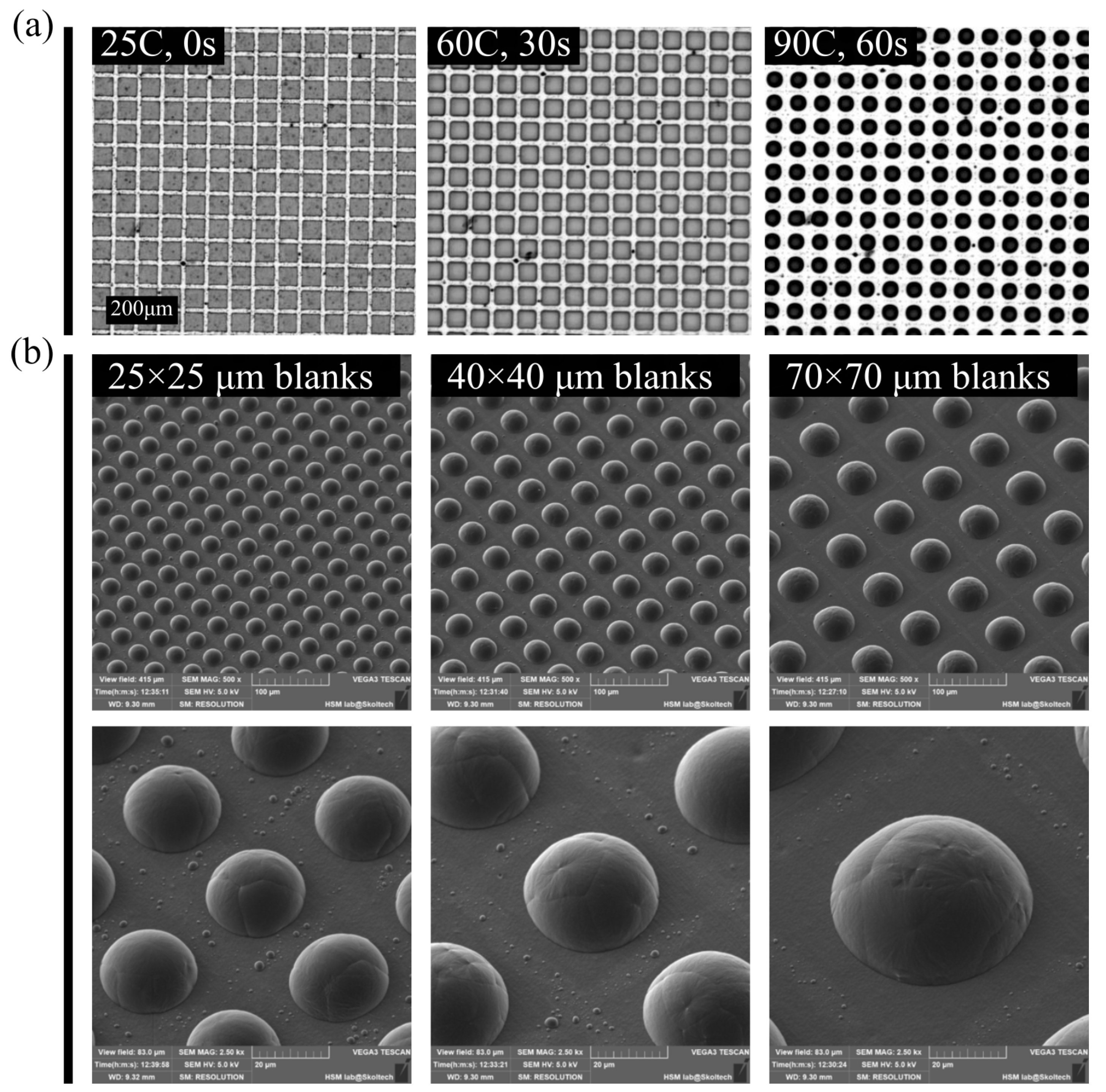 Nanomaterials 13 02976 g002