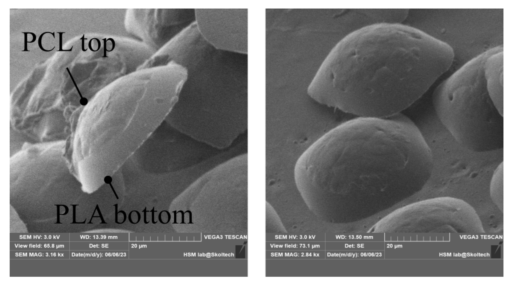 Nanomaterials 13 02976 g009