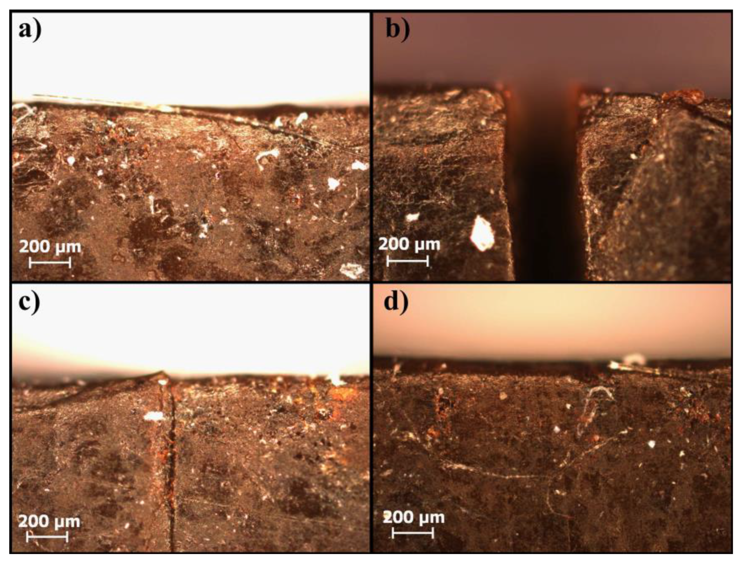 Nanomaterials 13 02983 g012