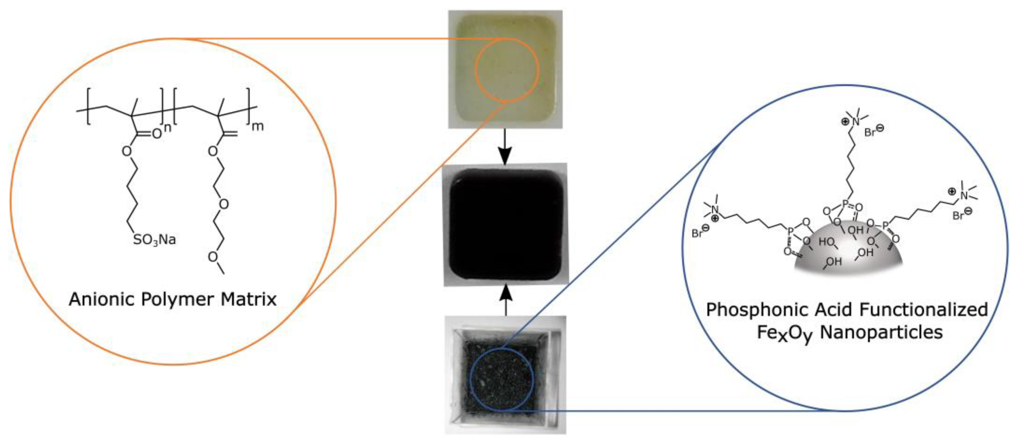 Nanomaterials 13 02983 sch001