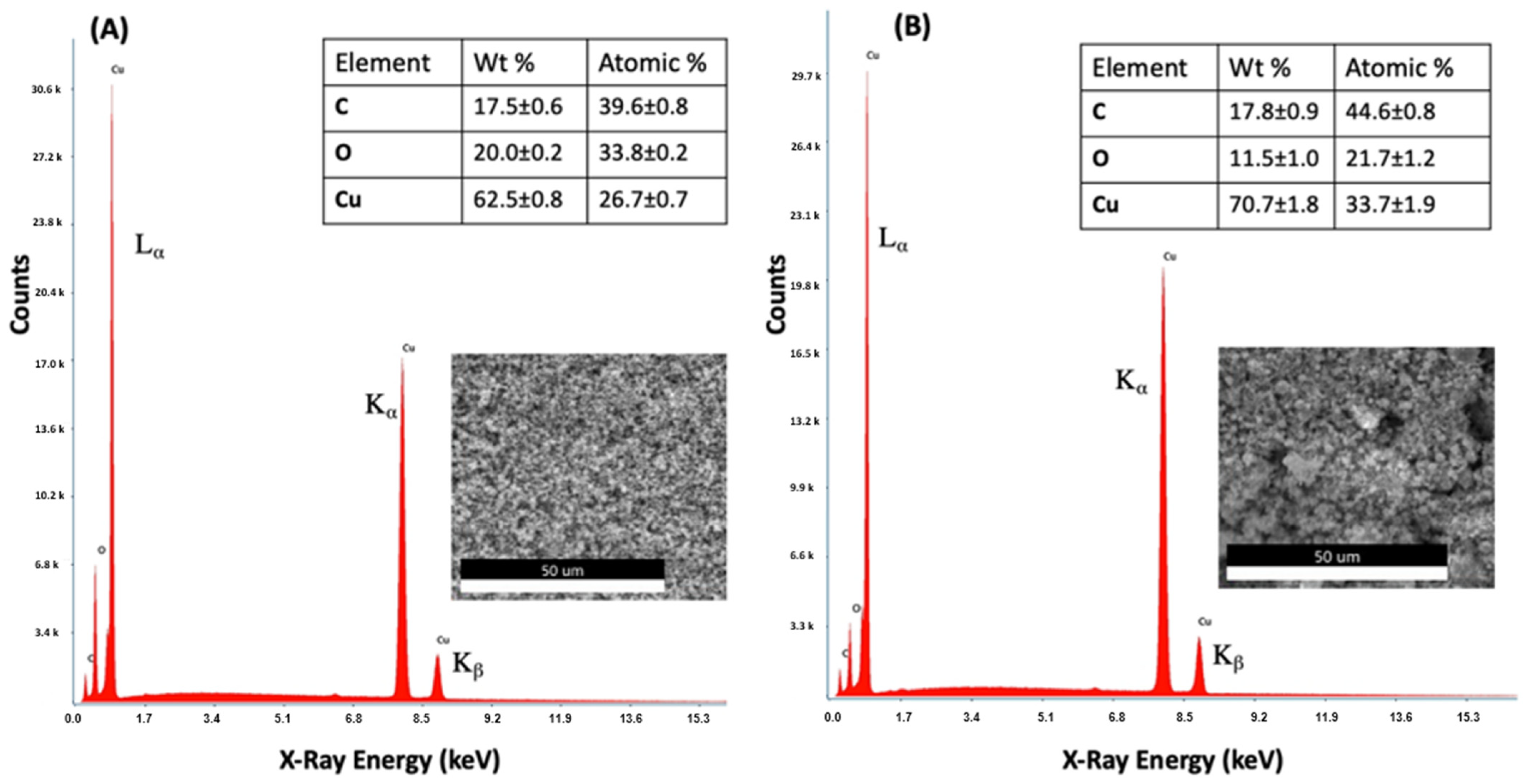 Nanomaterials 13 02990 g002