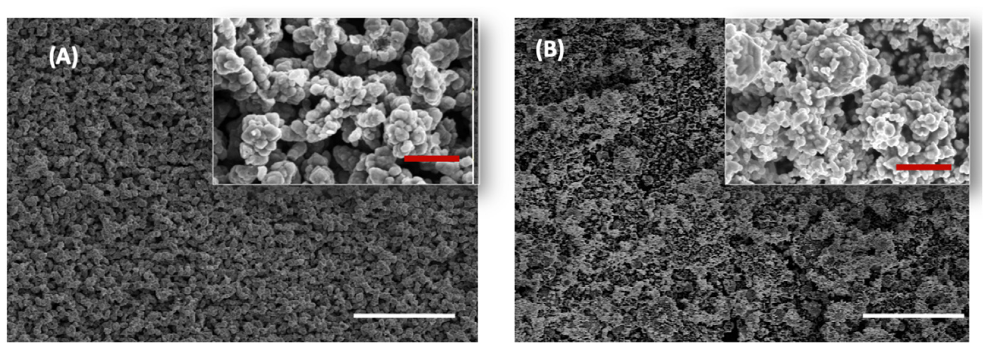 Nanomaterials 13 02990 g003