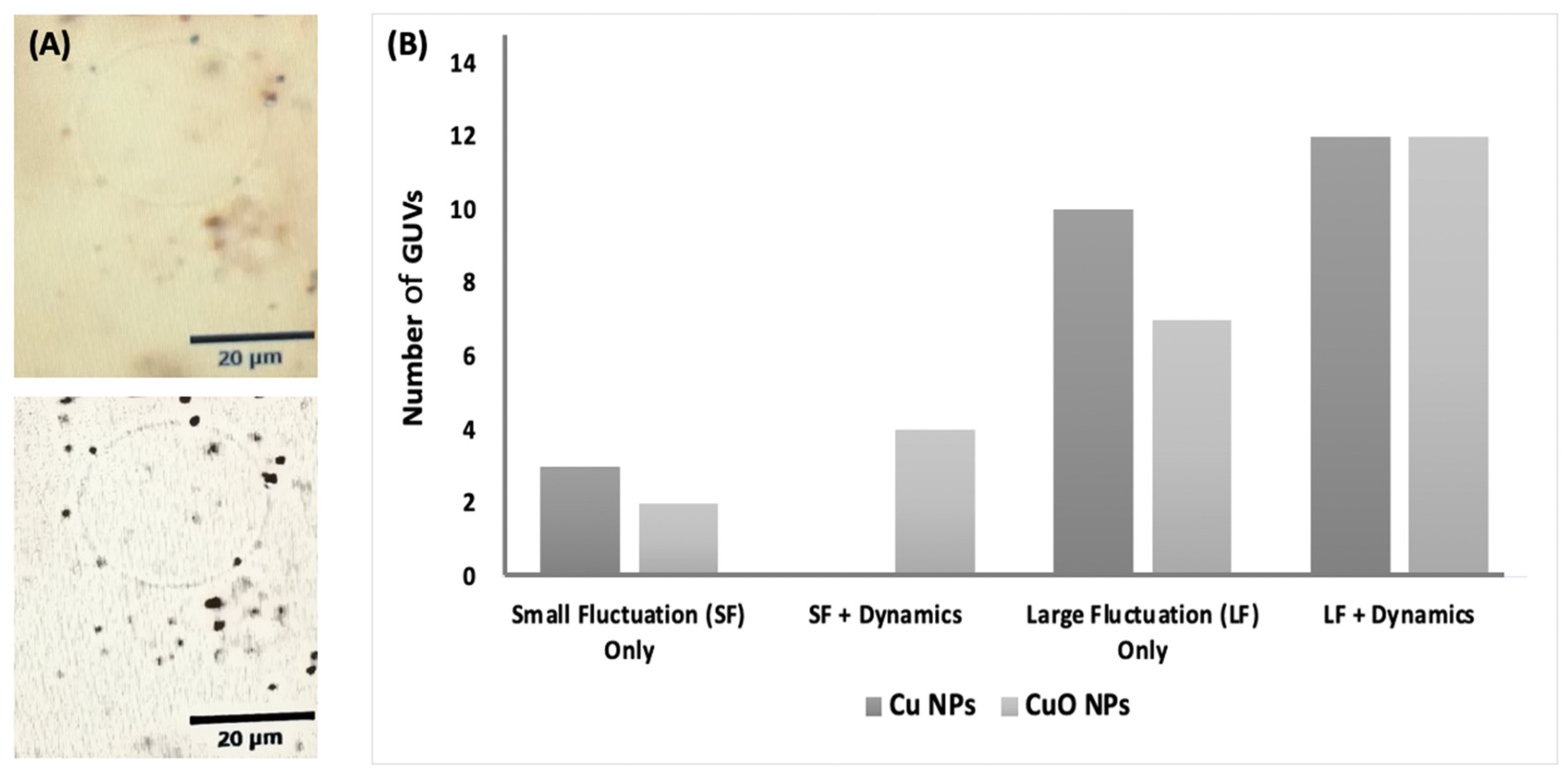 Nanomaterials 13 02990 g006
