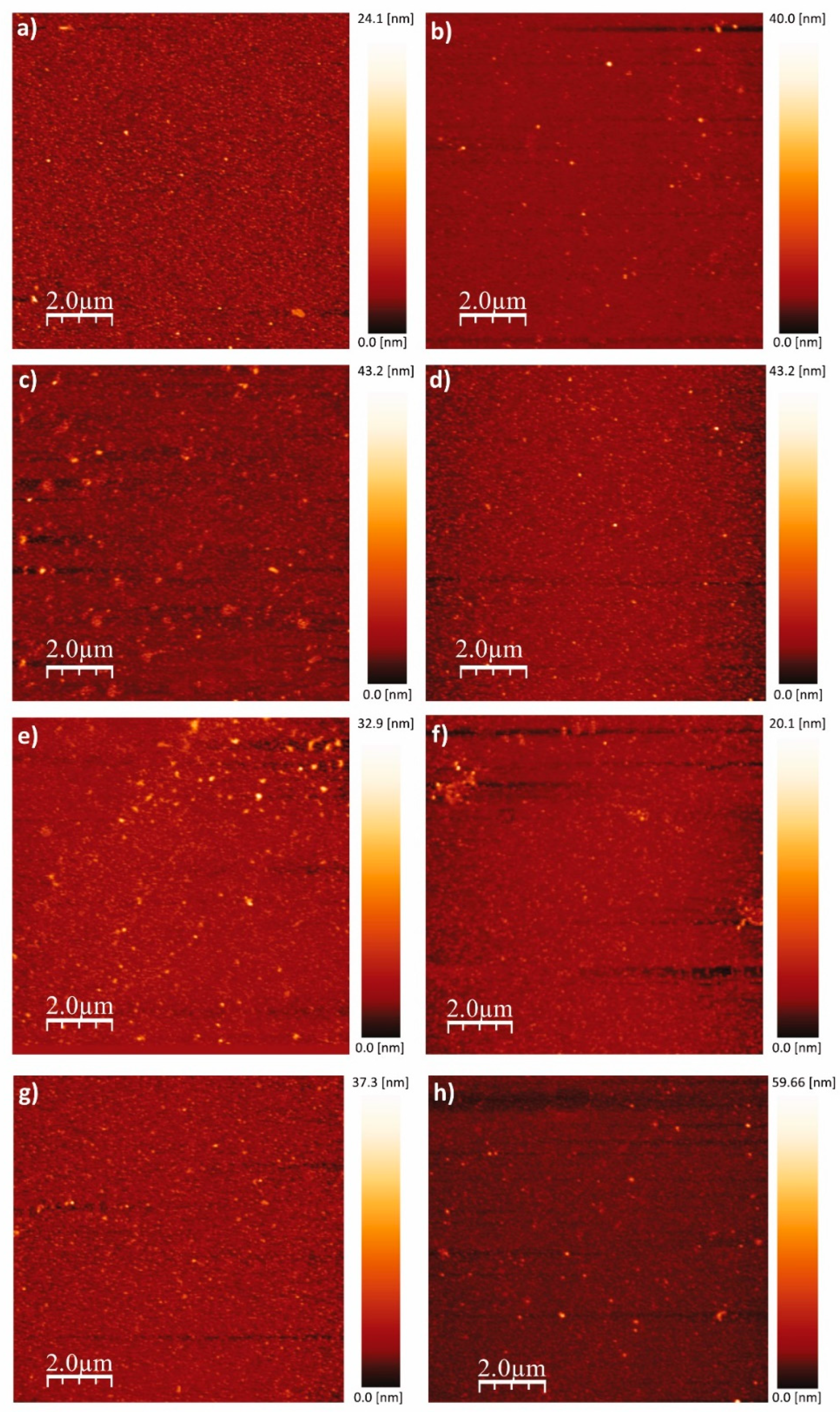Nanomaterials 13 02992 g003