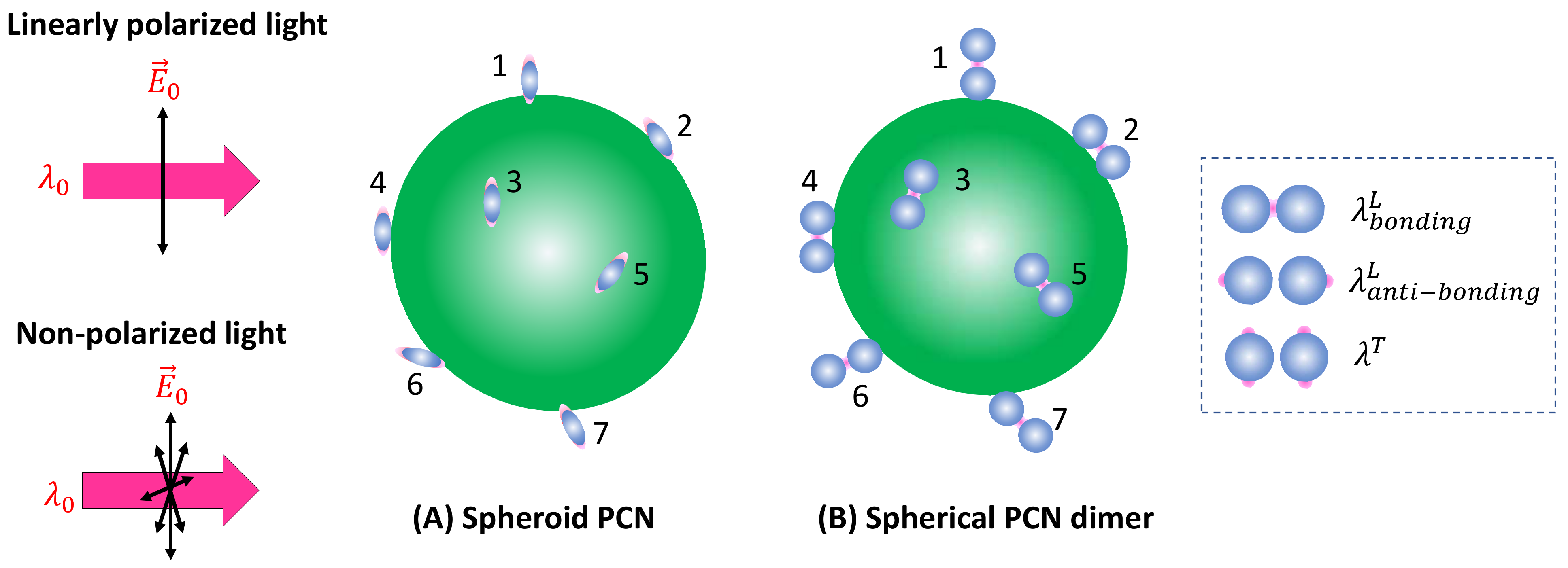 Nanomaterials 13 02998 g006
