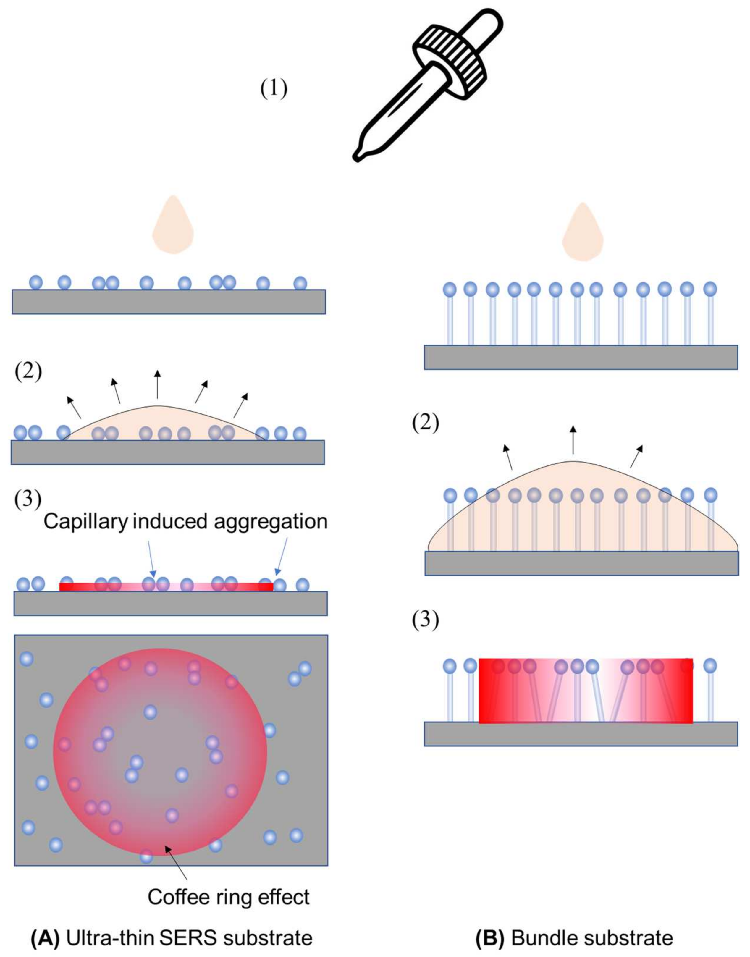 Nanomaterials 13 02998 g008