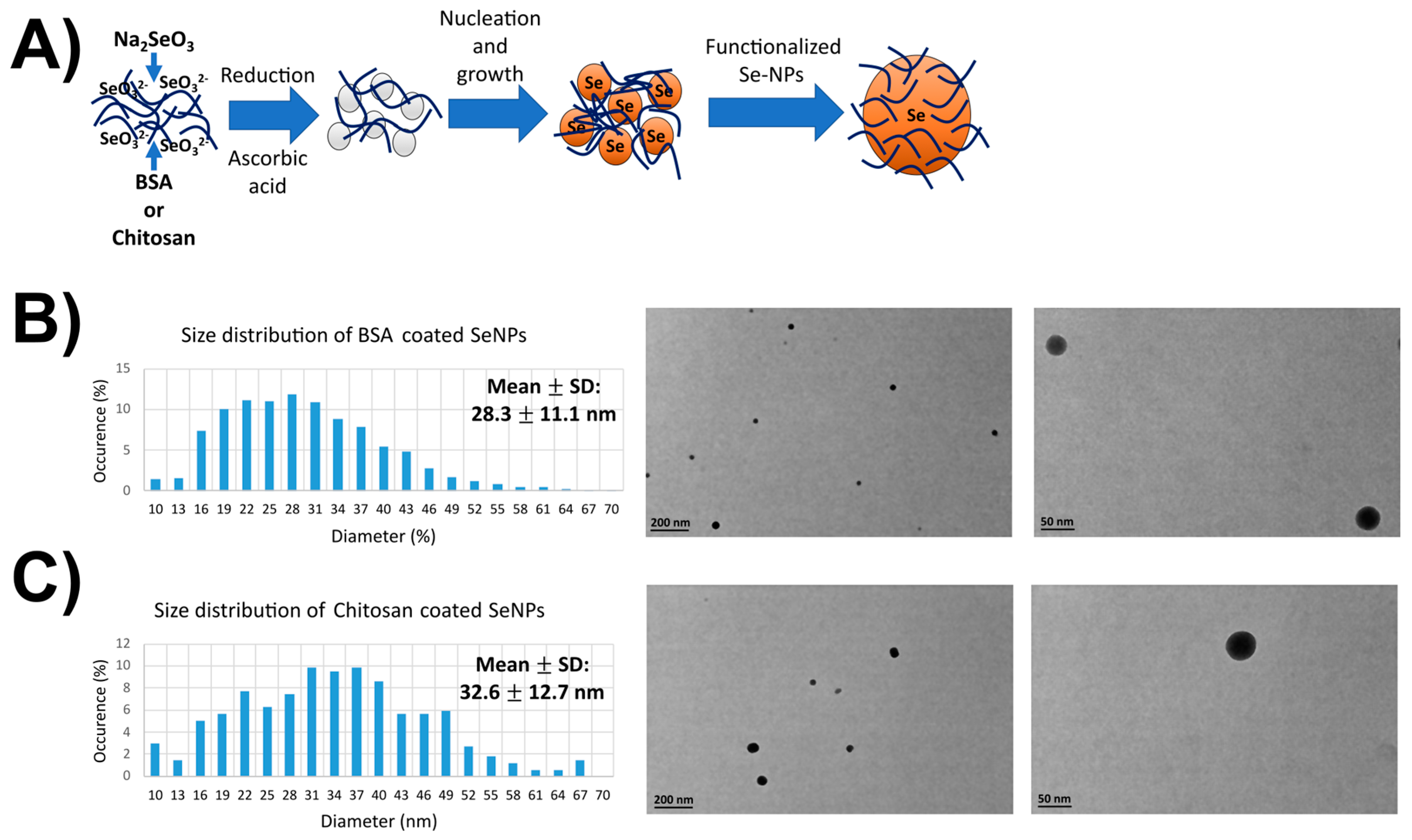 Nanomaterials 13 02999 g001