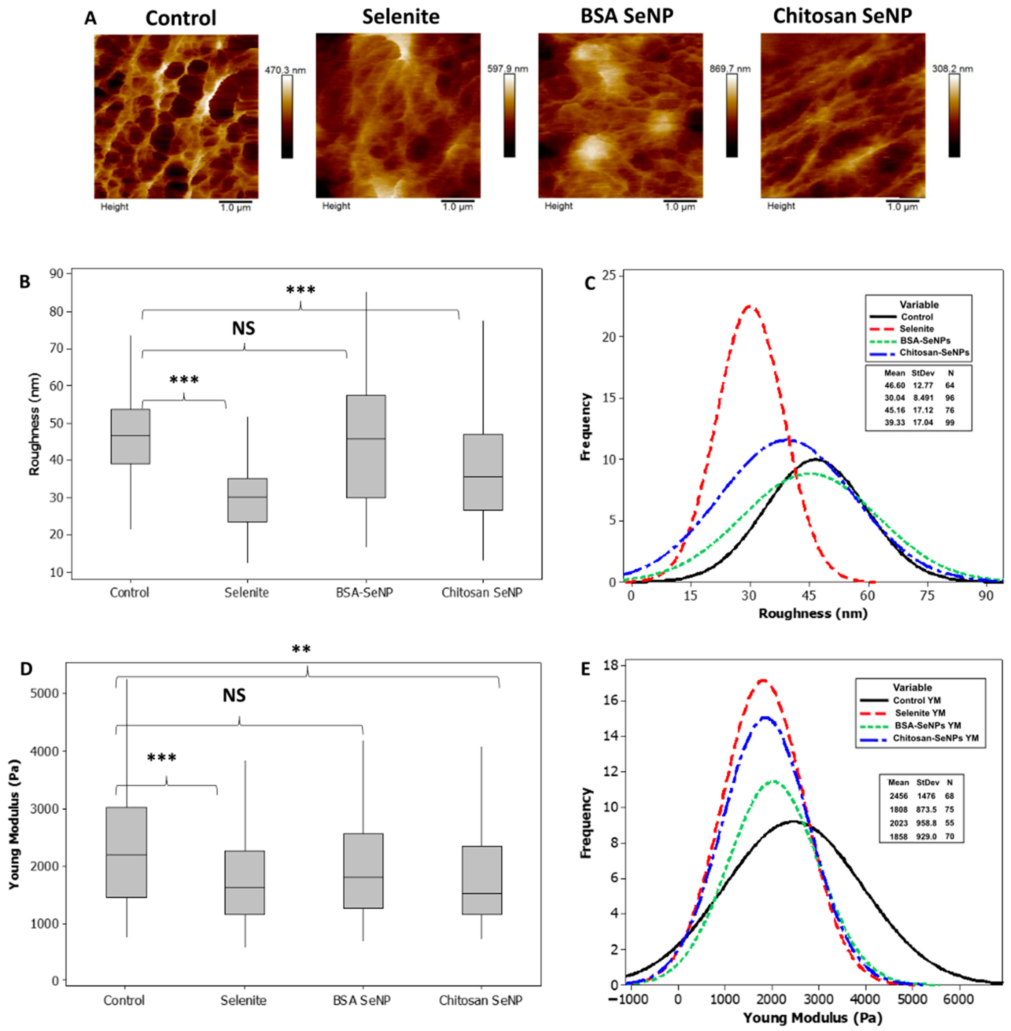 Nanomaterials 13 02999 g008