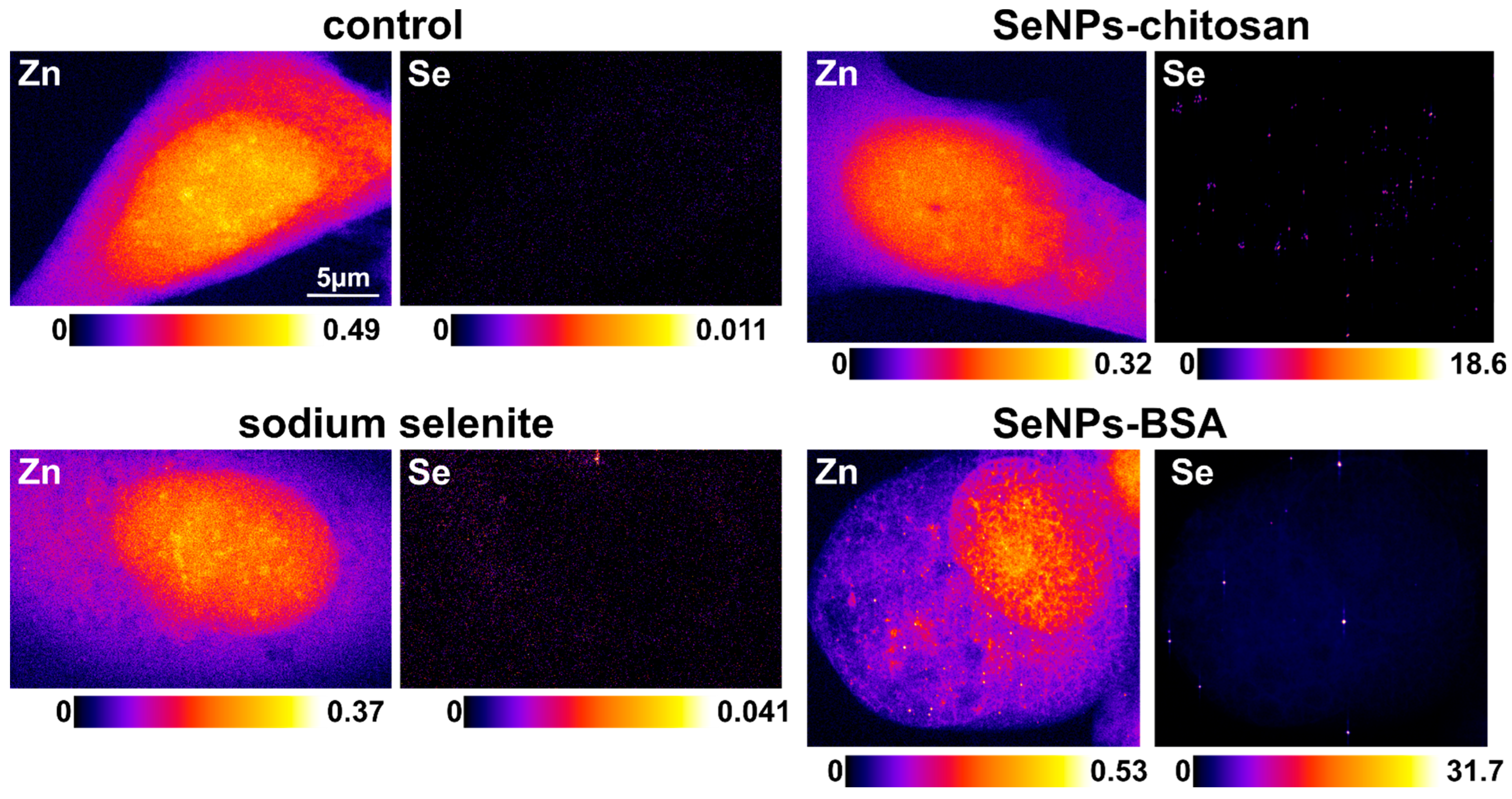 Nanomaterials 13 02999 g010