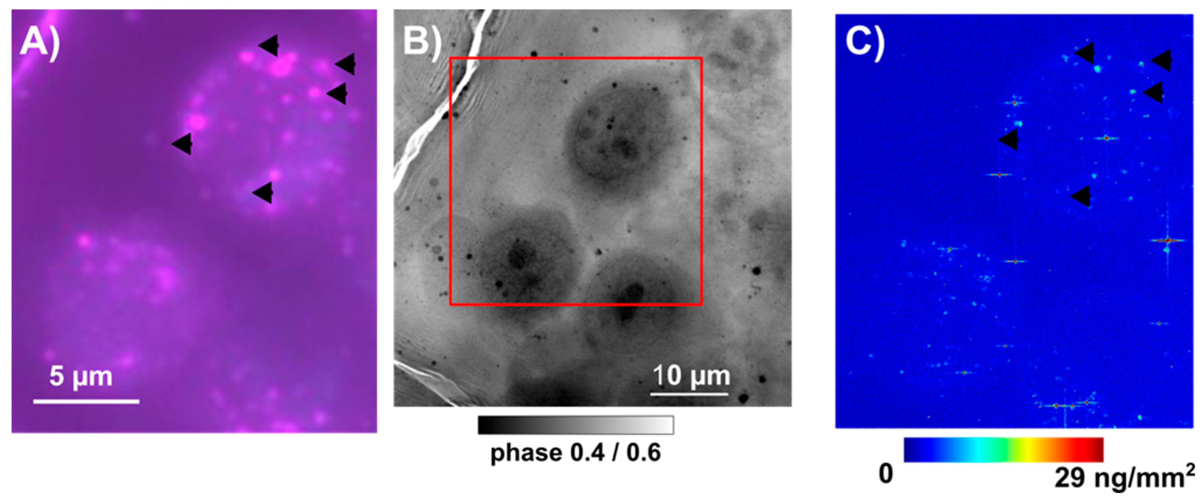 Nanomaterials 13 02999 g011
