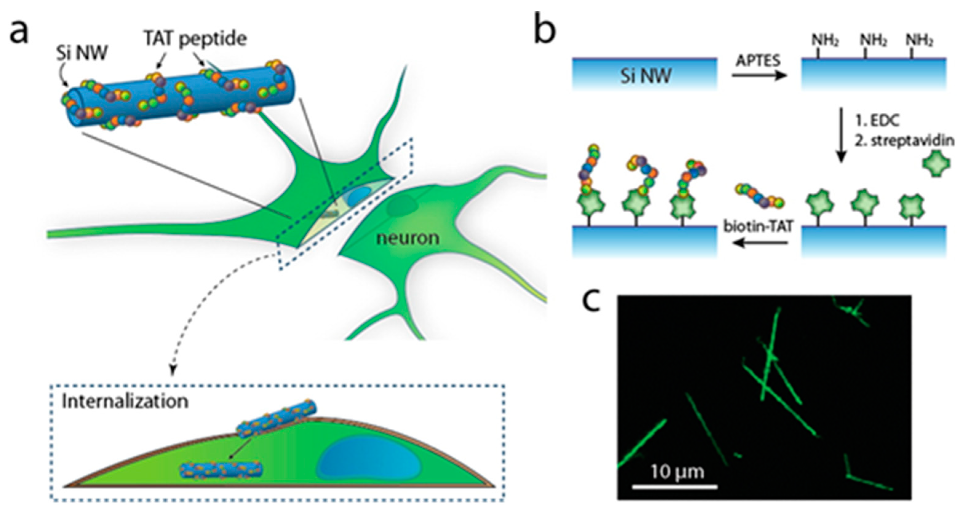 Nanomaterials 13 03004 g002 Nanomaterials 13 03004 g002