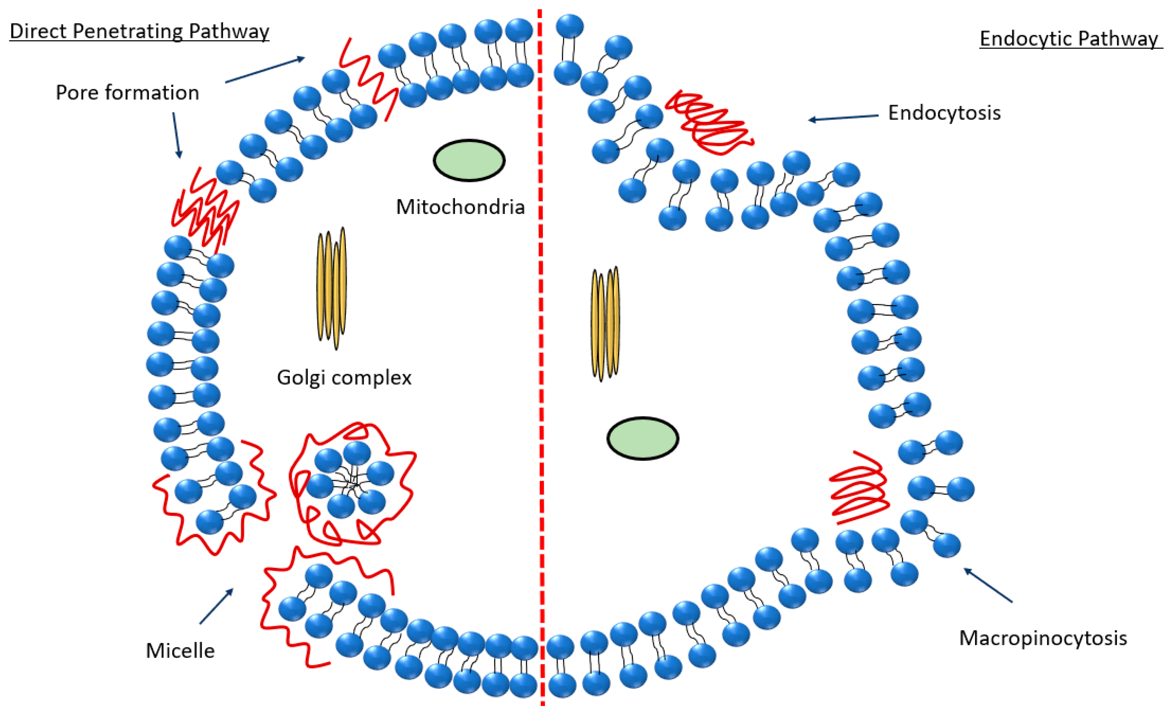 Nanomaterials 13 03004 g003 Nanomaterials 13 03004 g003