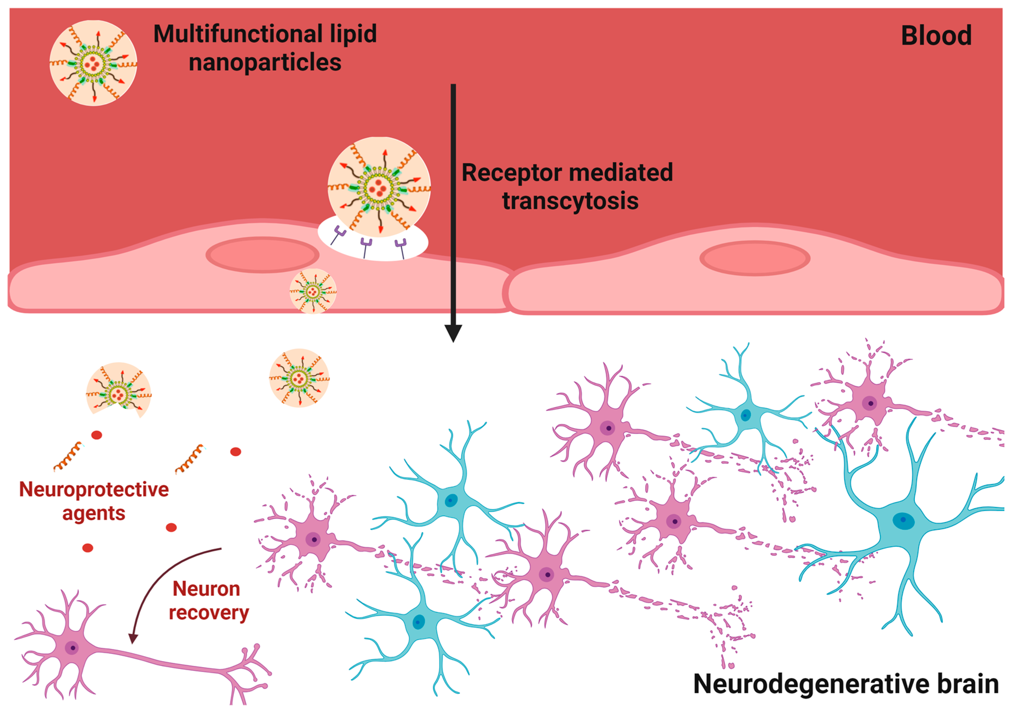 Nanomaterials 13 03004 g006 Nanomaterials 13 03004 g006