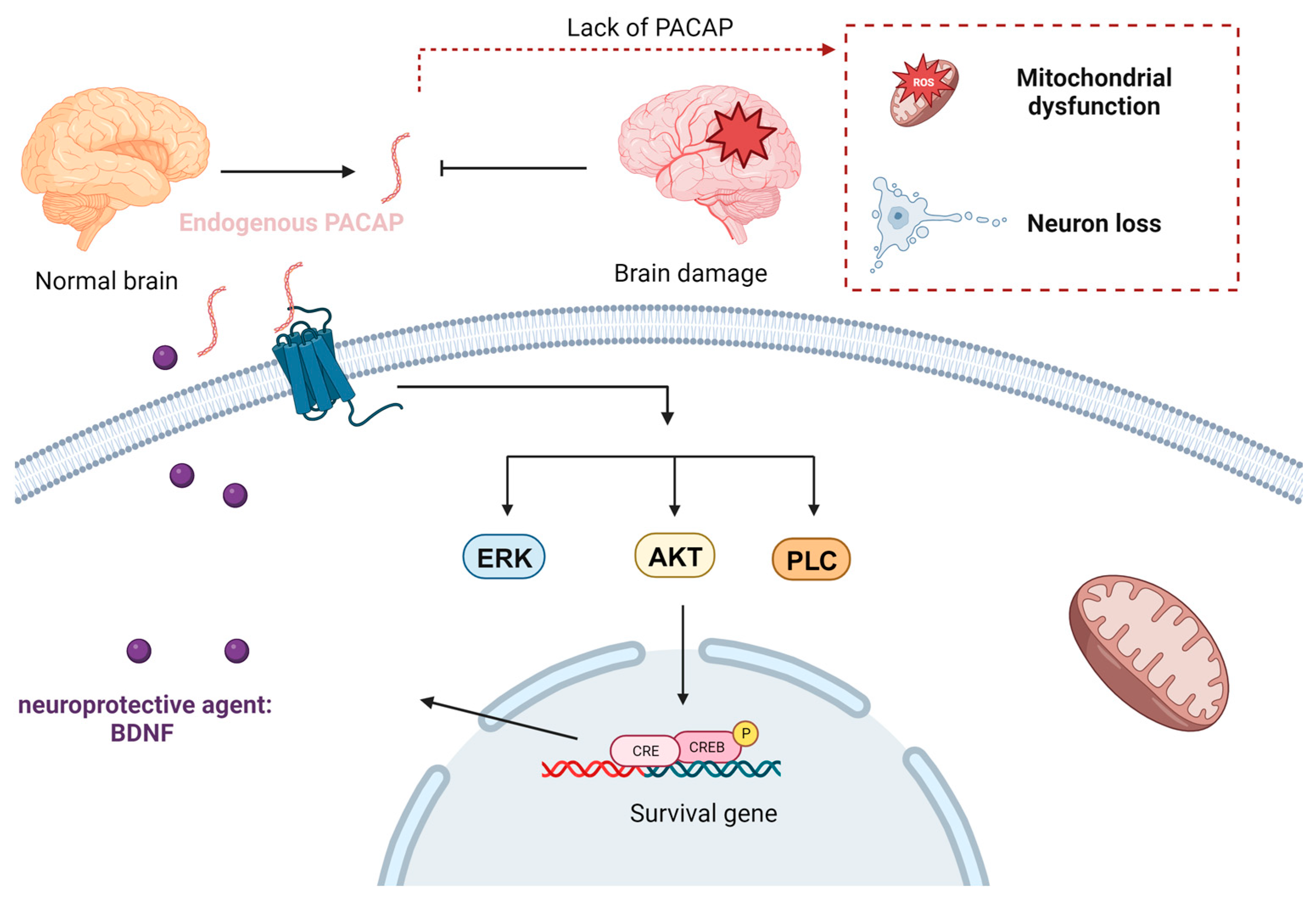Nanomaterials 13 03004 g007 Nanomaterials 13 03004 g007