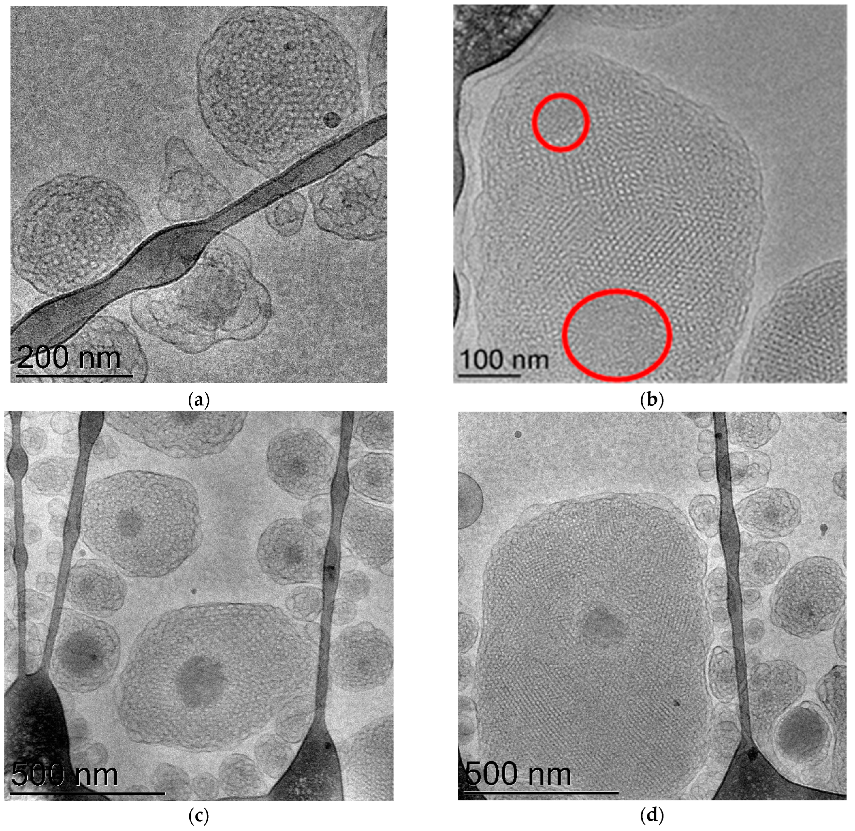 Nanomaterials 13 03004 g009 Nanomaterials 13 03004 g009