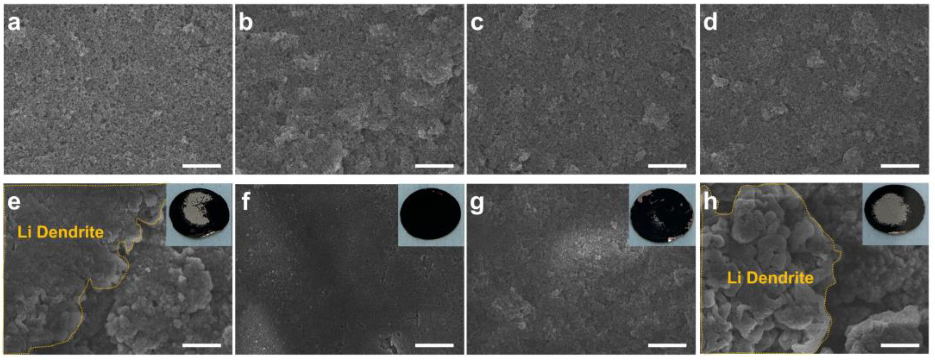 Nanomaterials 13 03007 g003