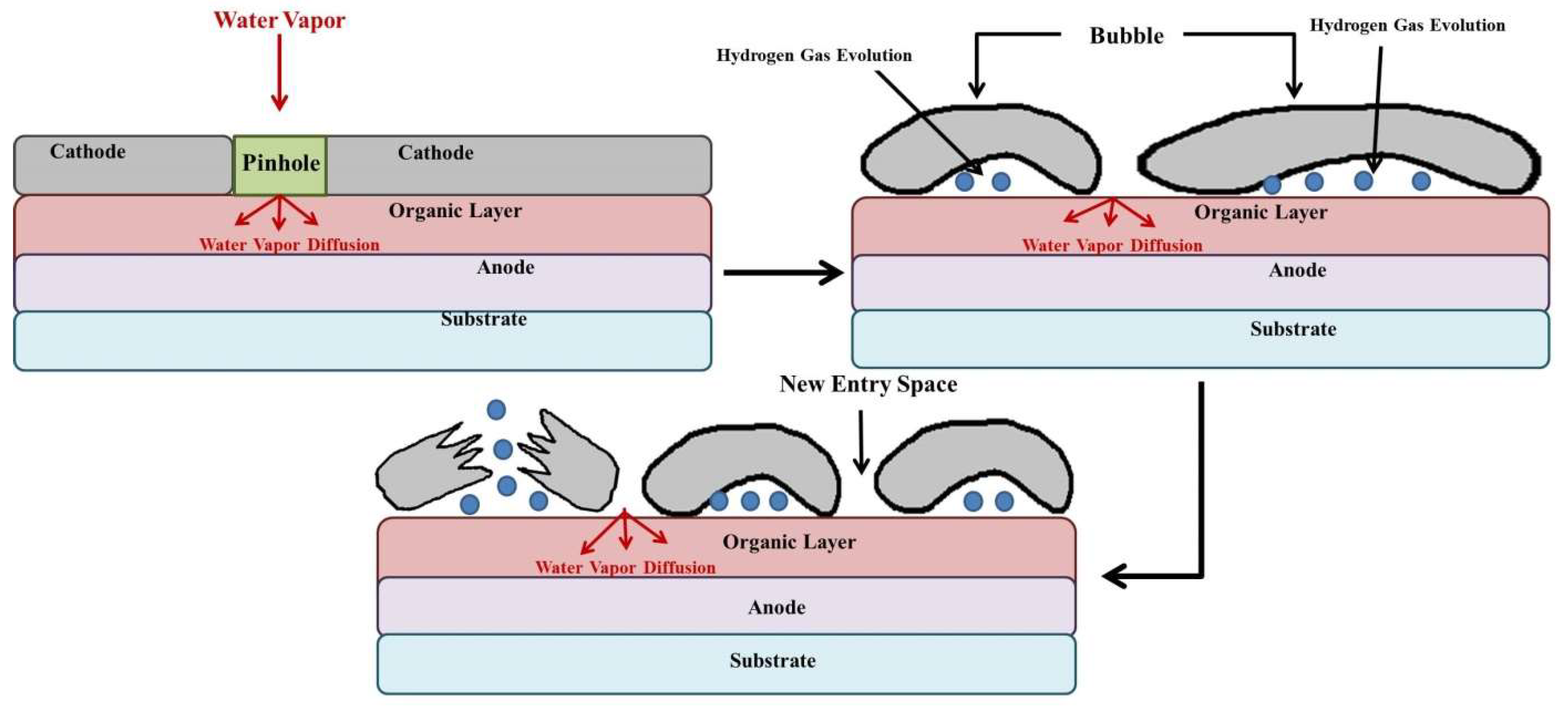 Nanomaterials 13 03020 g012