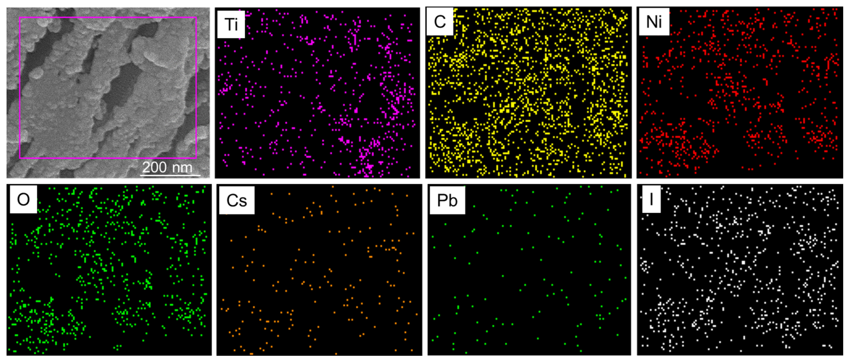 Nanomaterials 13 03026 g004