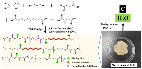 カタリスト Aldol Insights: The Route to Chiral Synthesis of 3
