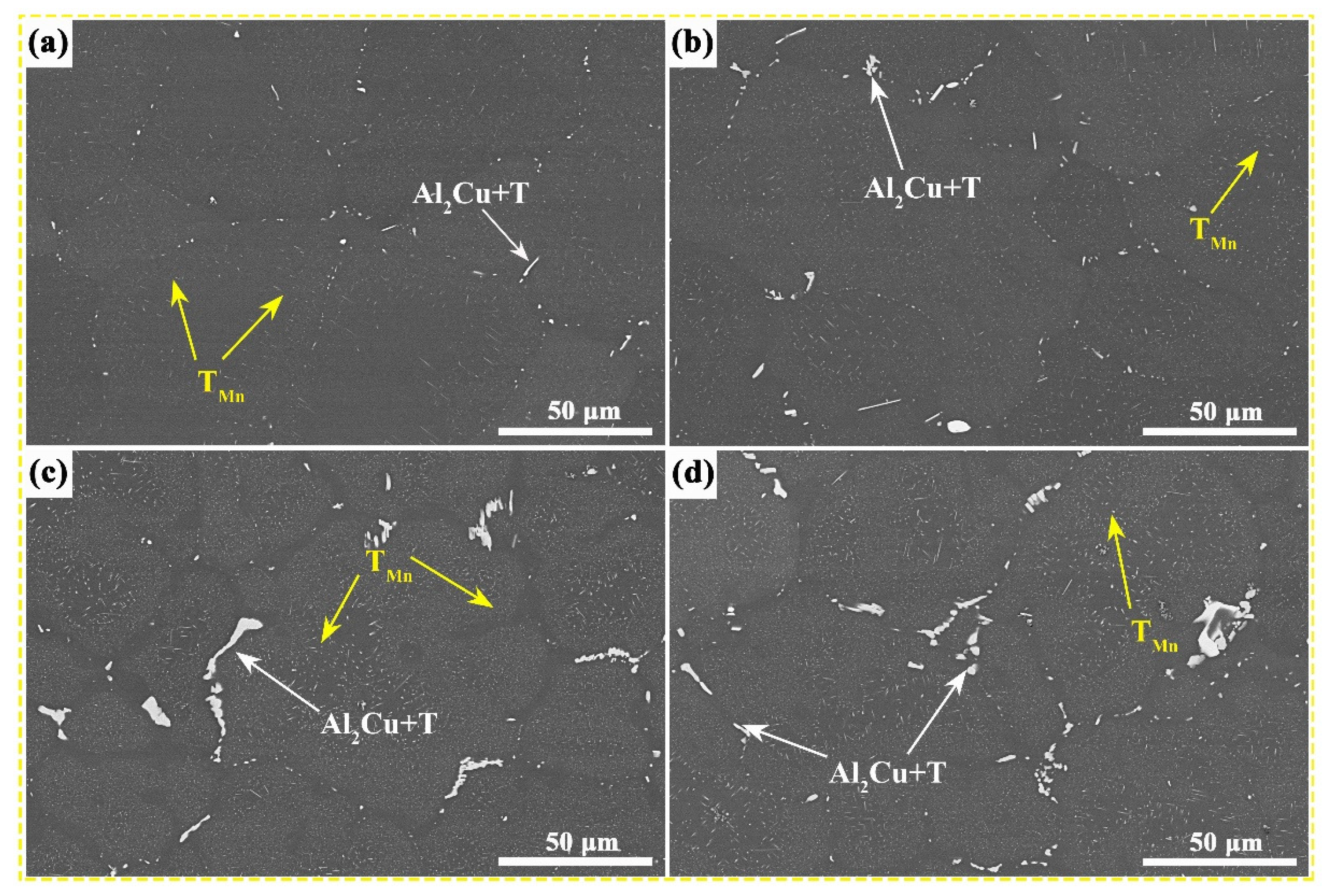 Nanomaterials 13 03038 g003