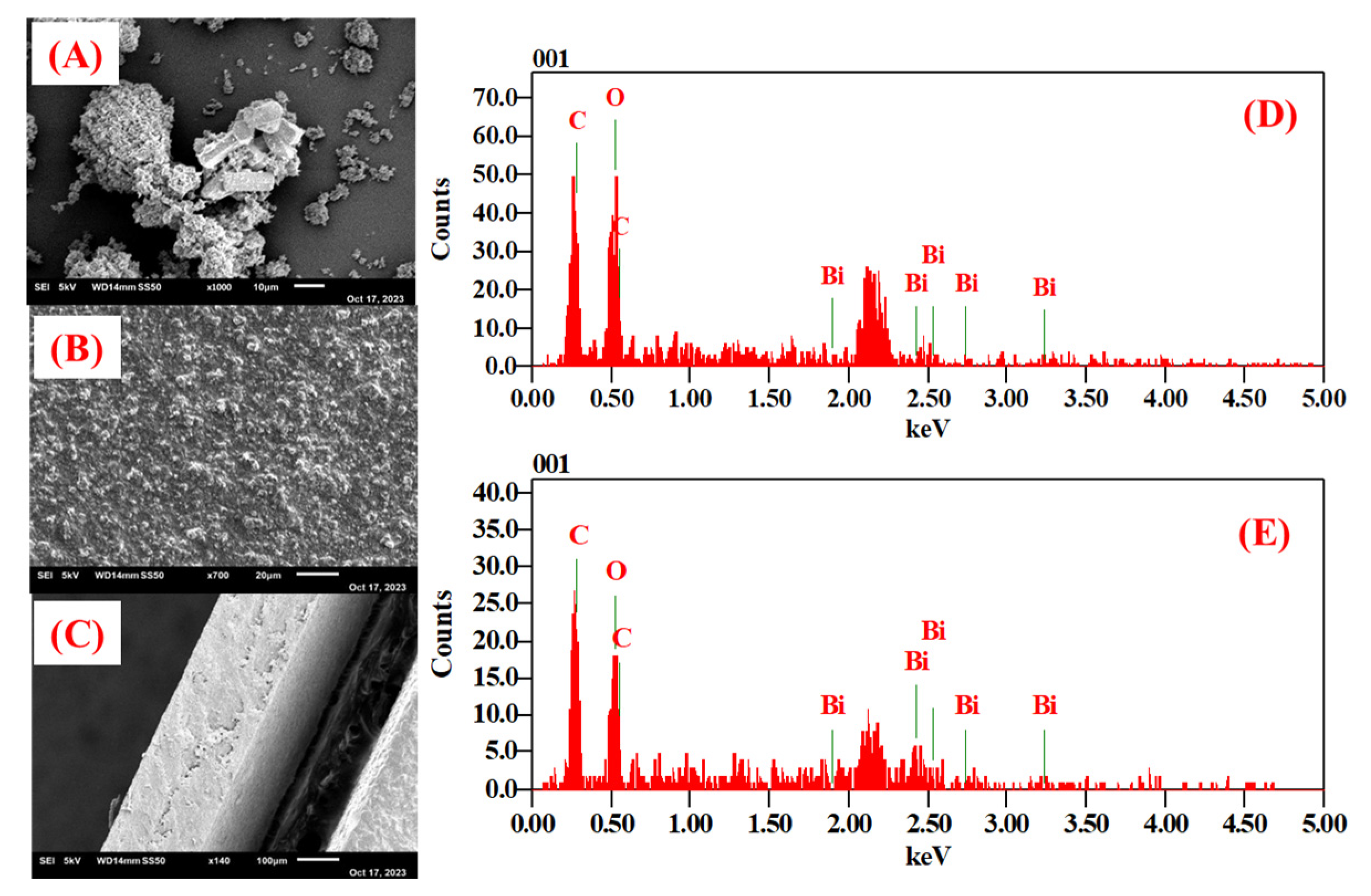 Nanomaterials 13 03041 g005