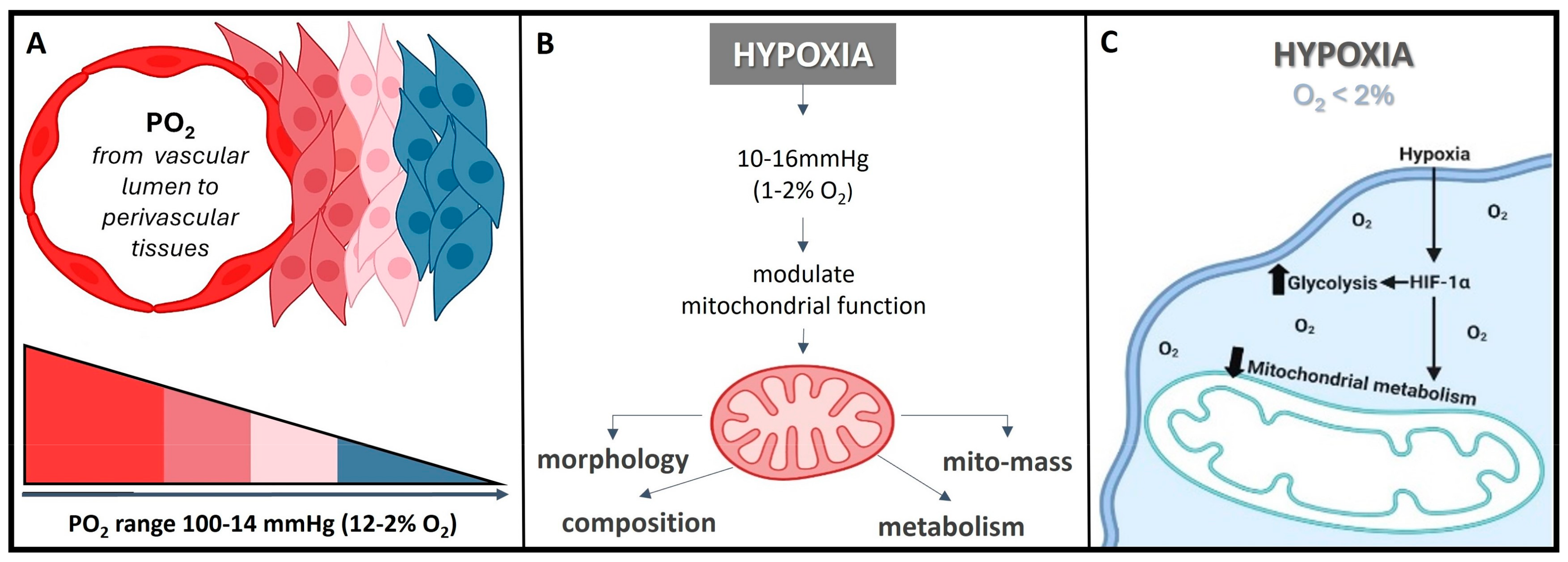 Nanomaterials 13 03060 g002 Nanomaterials 13 03060 g002