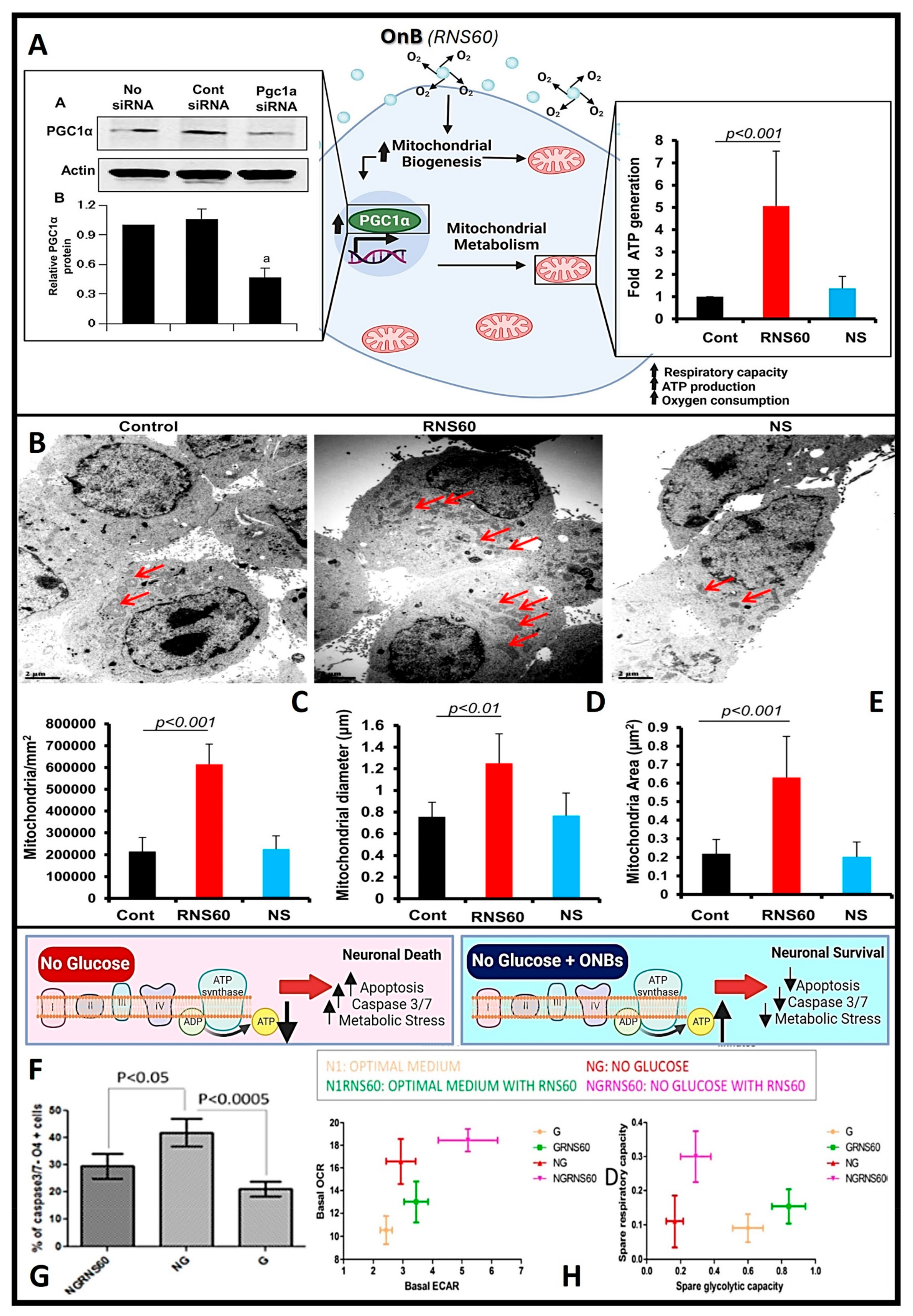 Nanomaterials 13 03060 g004 Nanomaterials 13 03060 g004