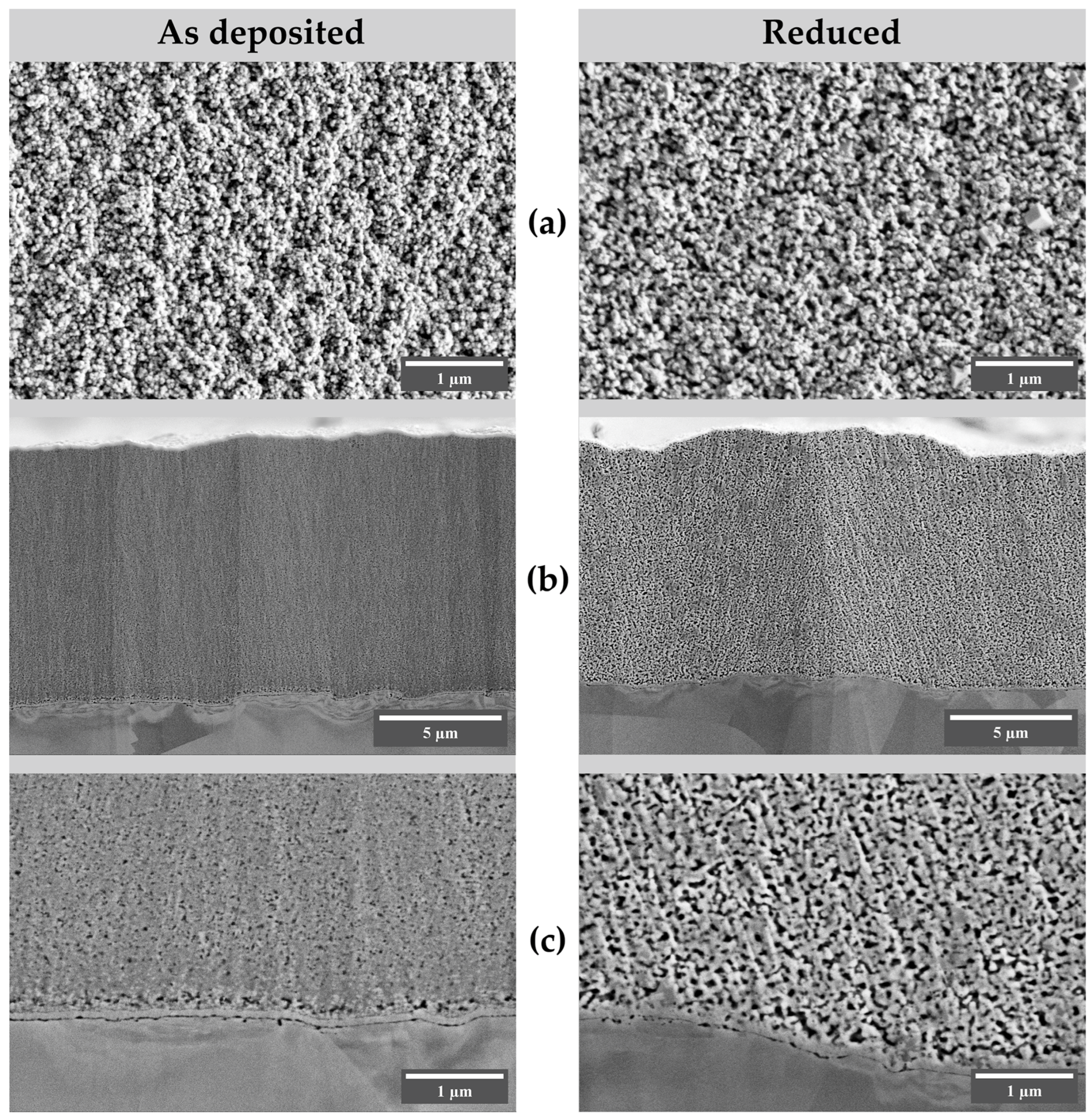 Nanomaterials 13 03064 g008