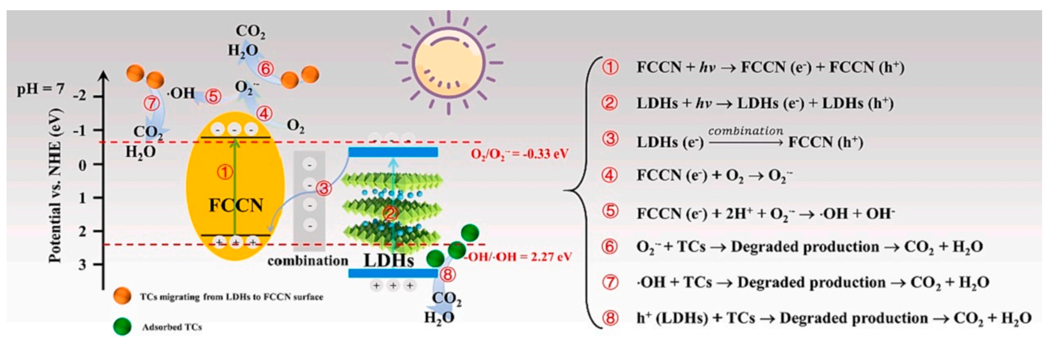 Nanomaterials 13 03066 g008