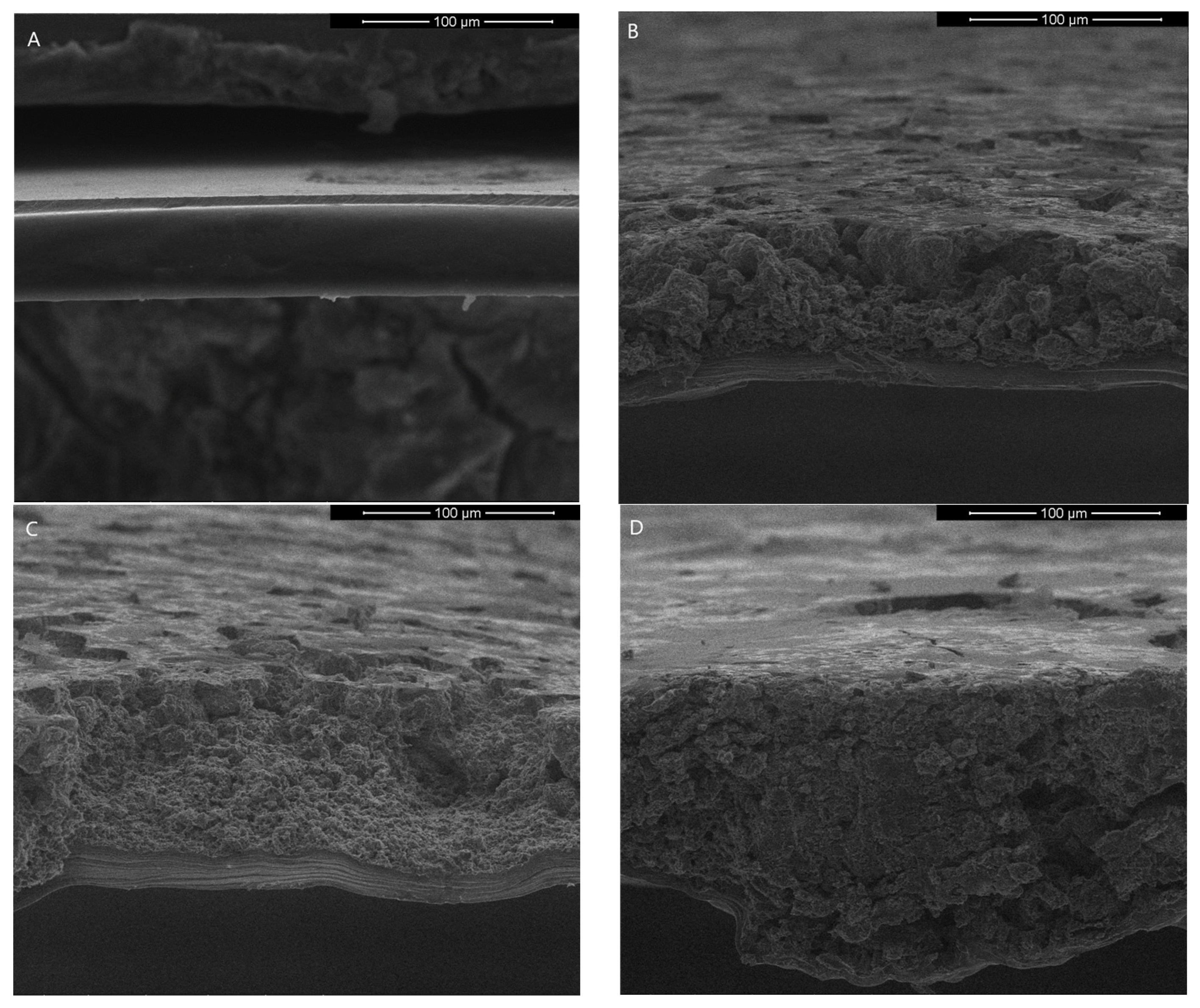 Nanomaterials 13 03068 g009