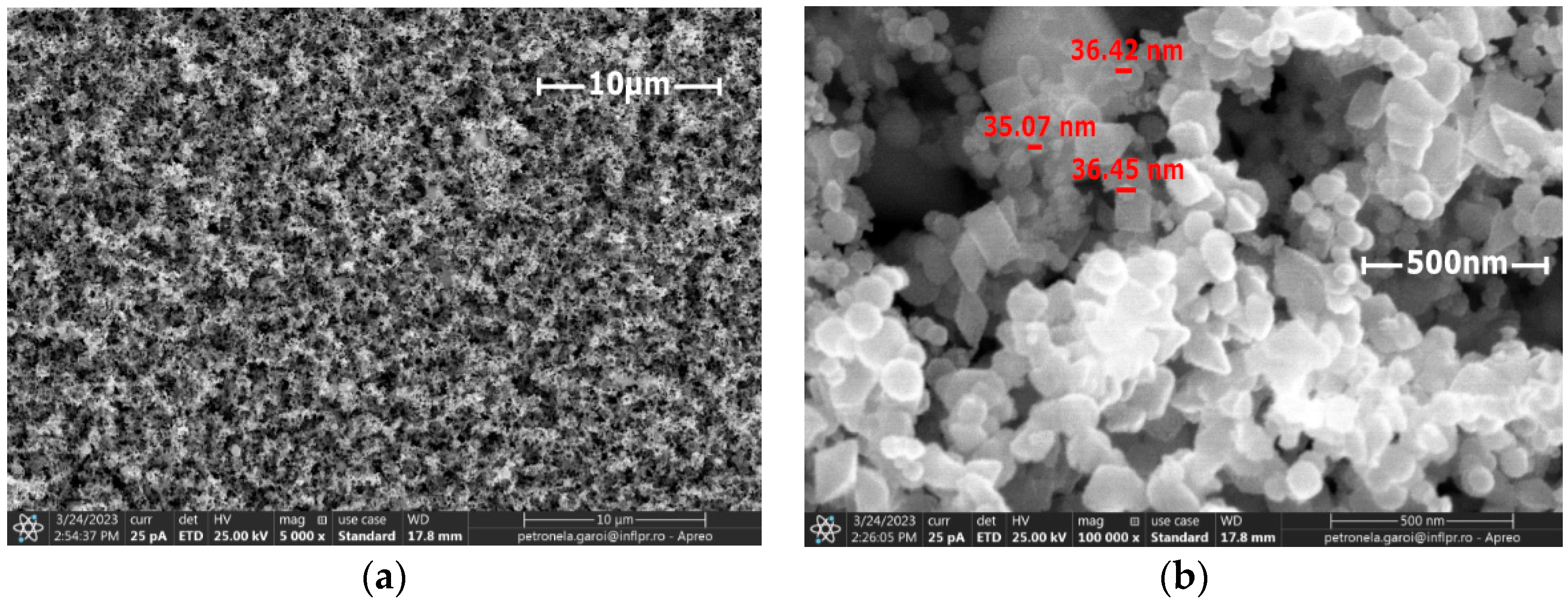 Nanomaterials 13 03071 g010