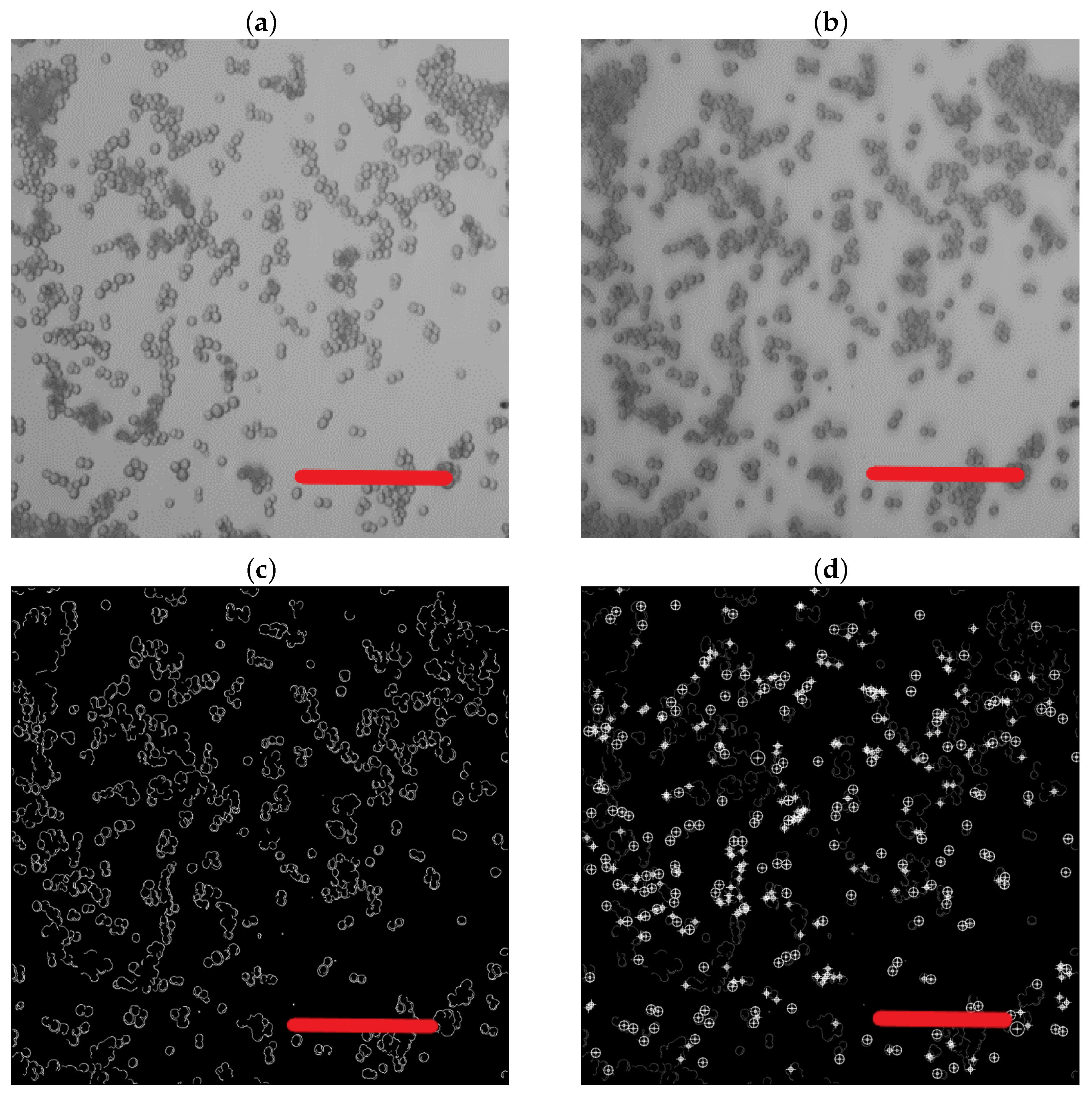 Nanomaterials 13 03075 g0a1