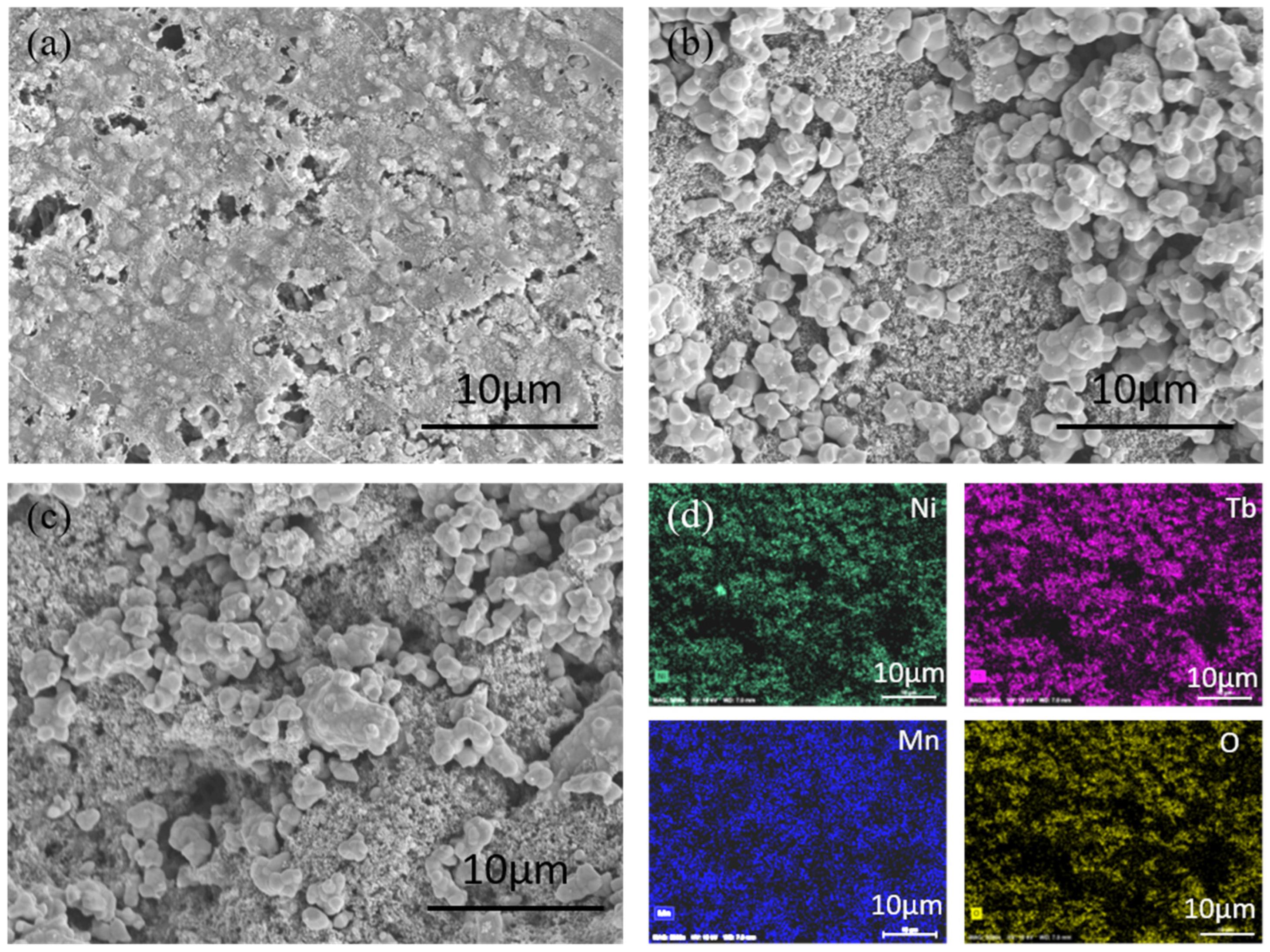 Nanomaterials 13 03076 g002