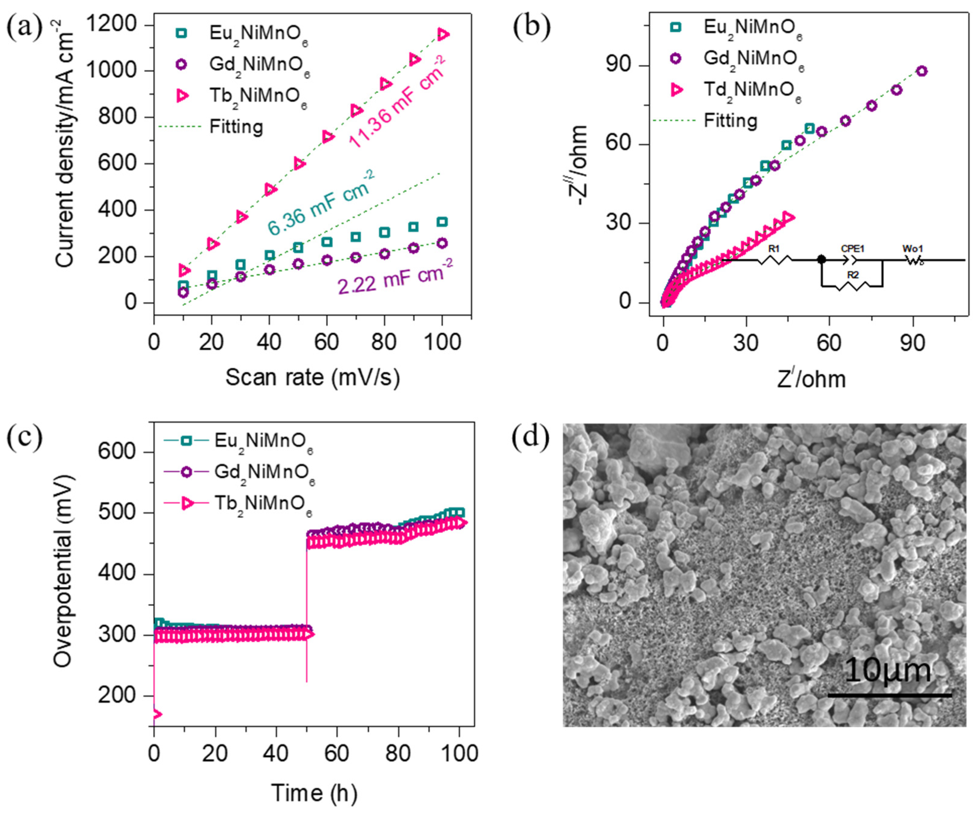 Nanomaterials 13 03076 g005