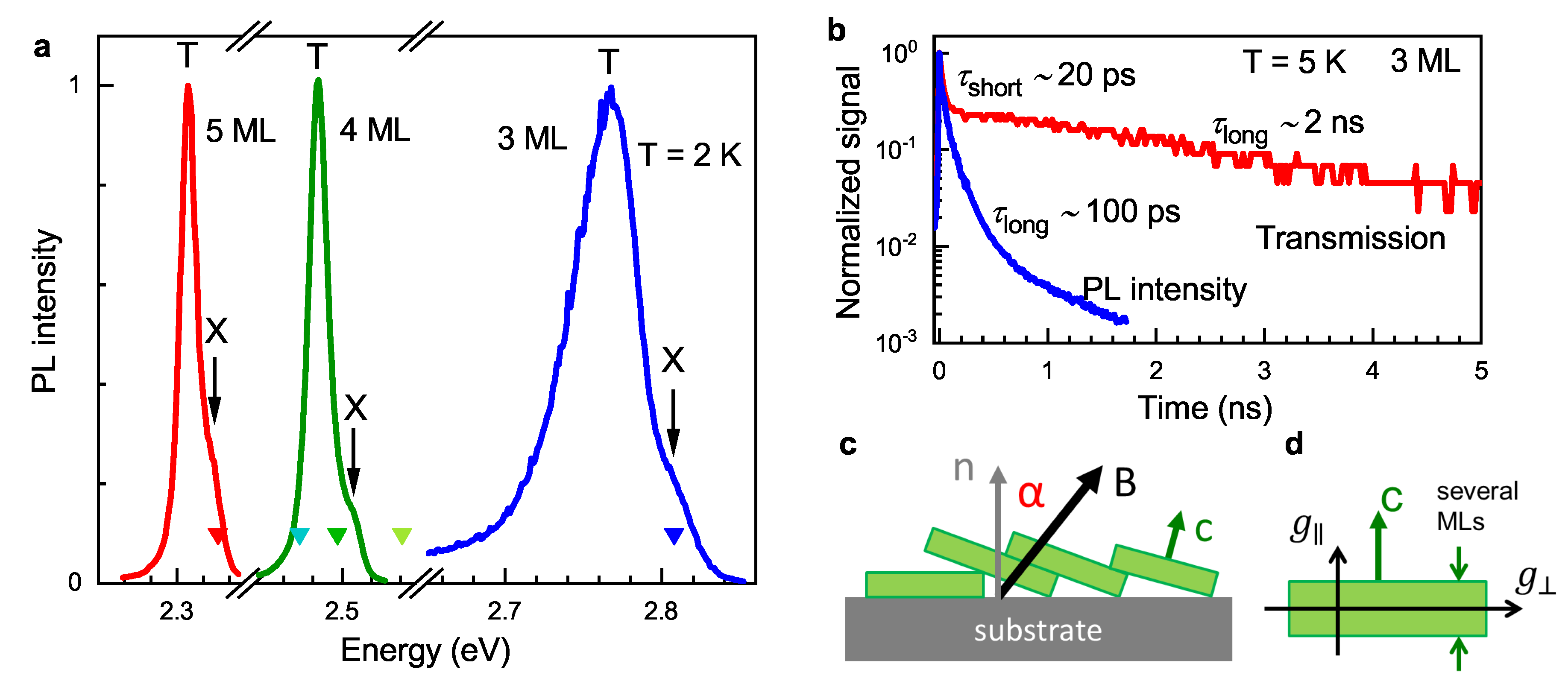 Nanomaterials 13 03077 g001