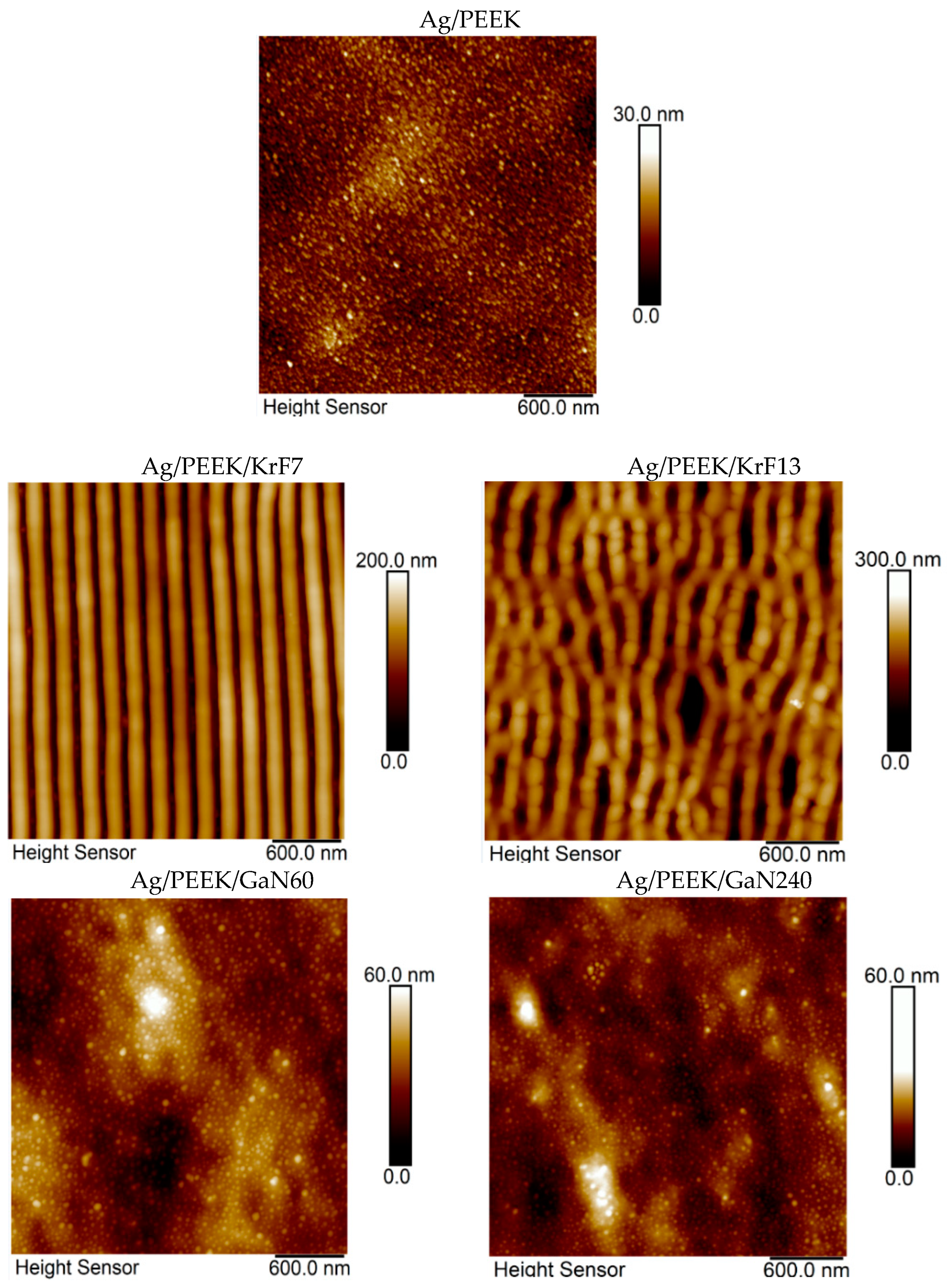 Nanomaterials 13 03079 g001