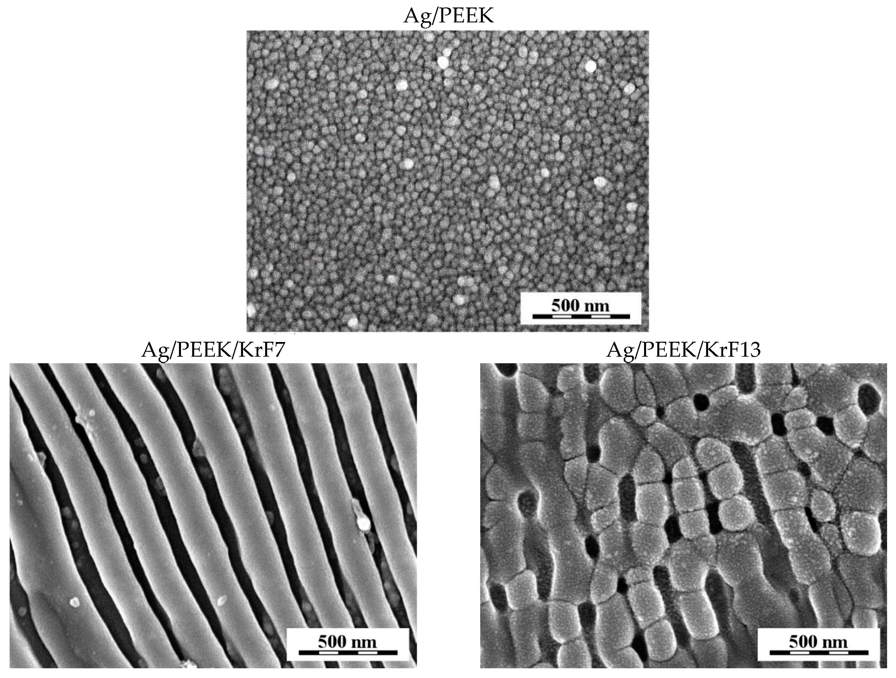 Nanomaterials 13 03079 g002