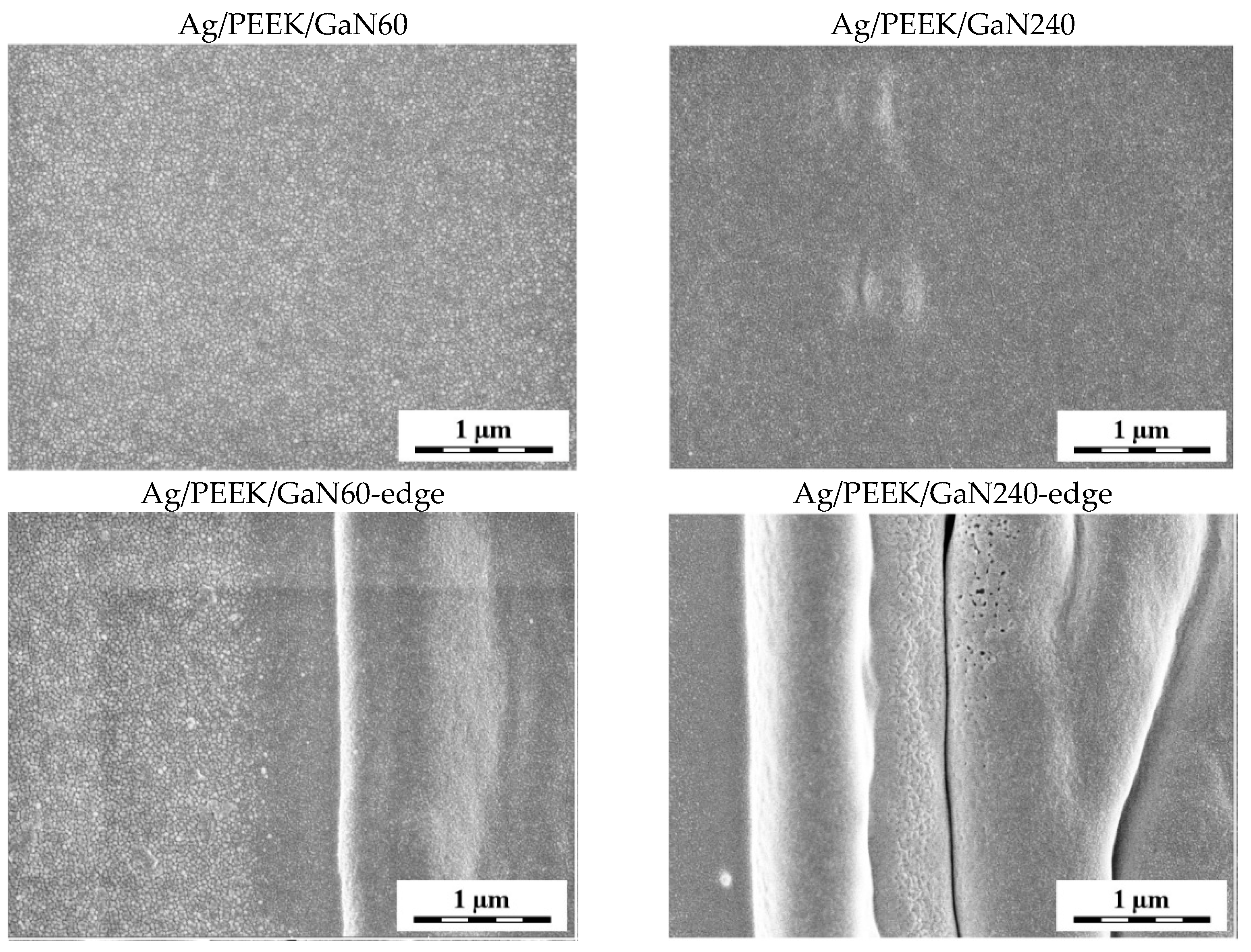 Nanomaterials 13 03079 g003