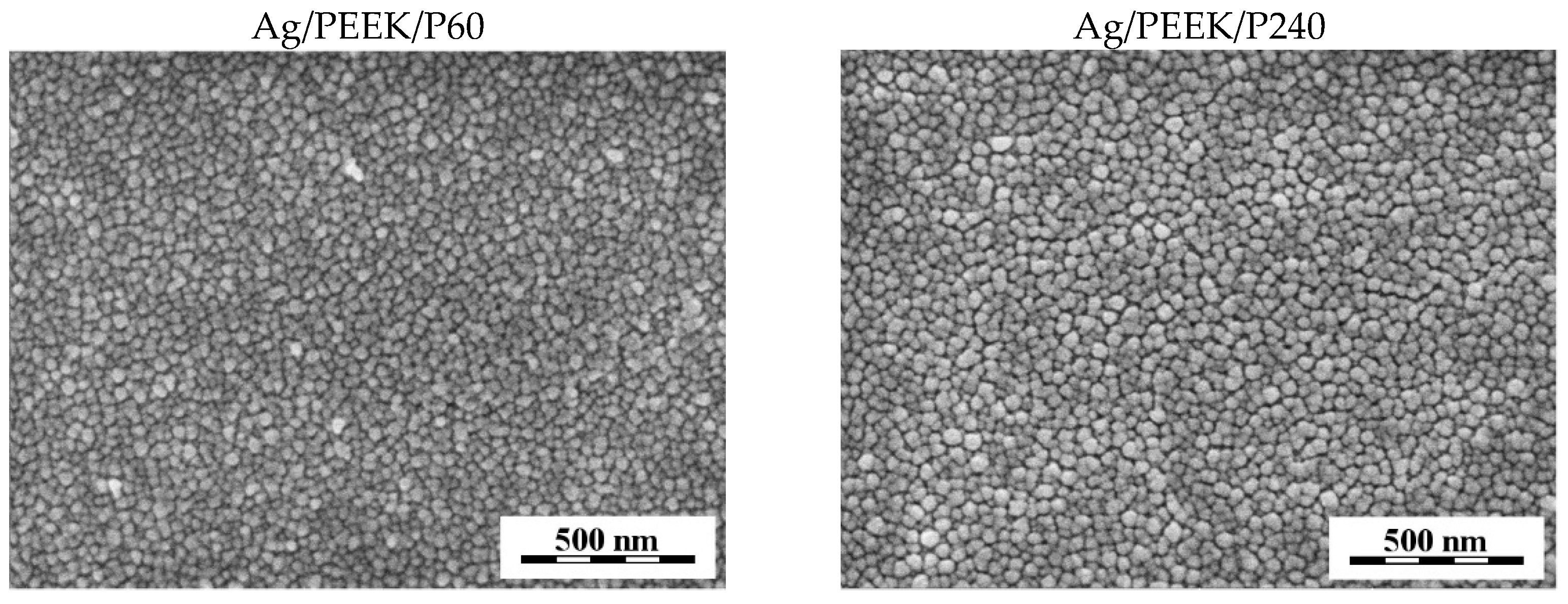 Nanomaterials 13 03079 g004