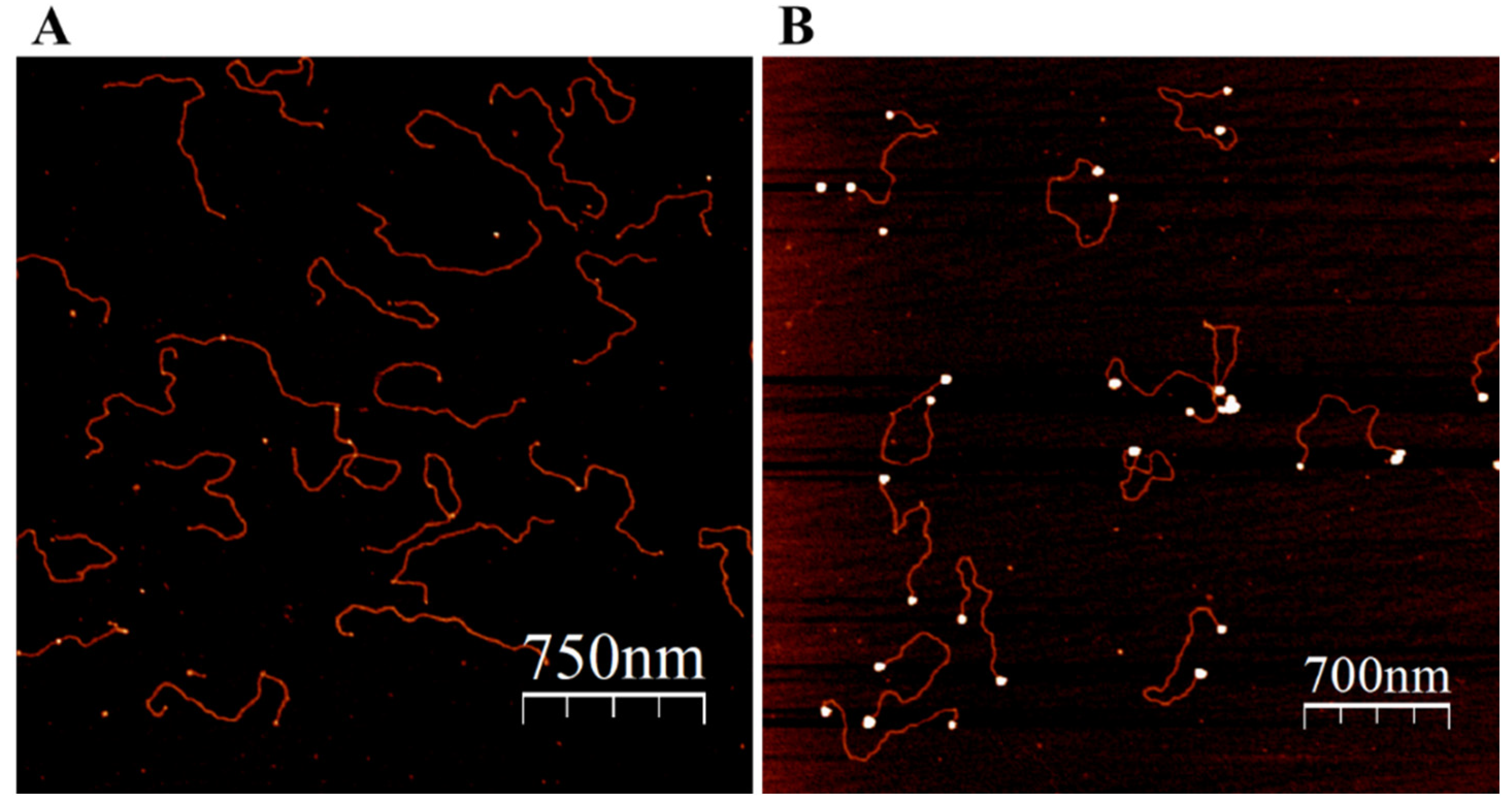 Nanomaterials 13 03080 g003