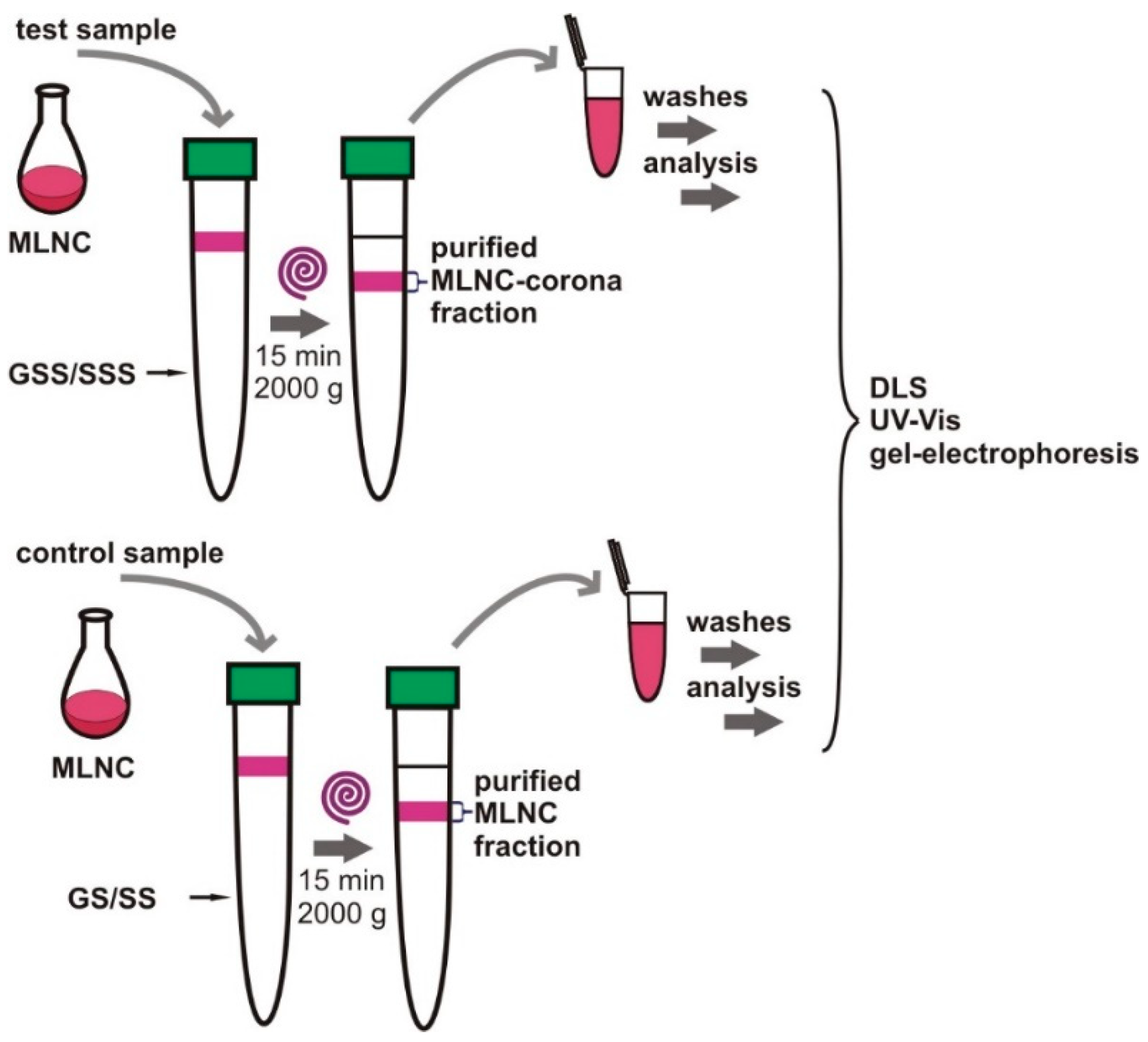 Nanomaterials 13 03094 g001