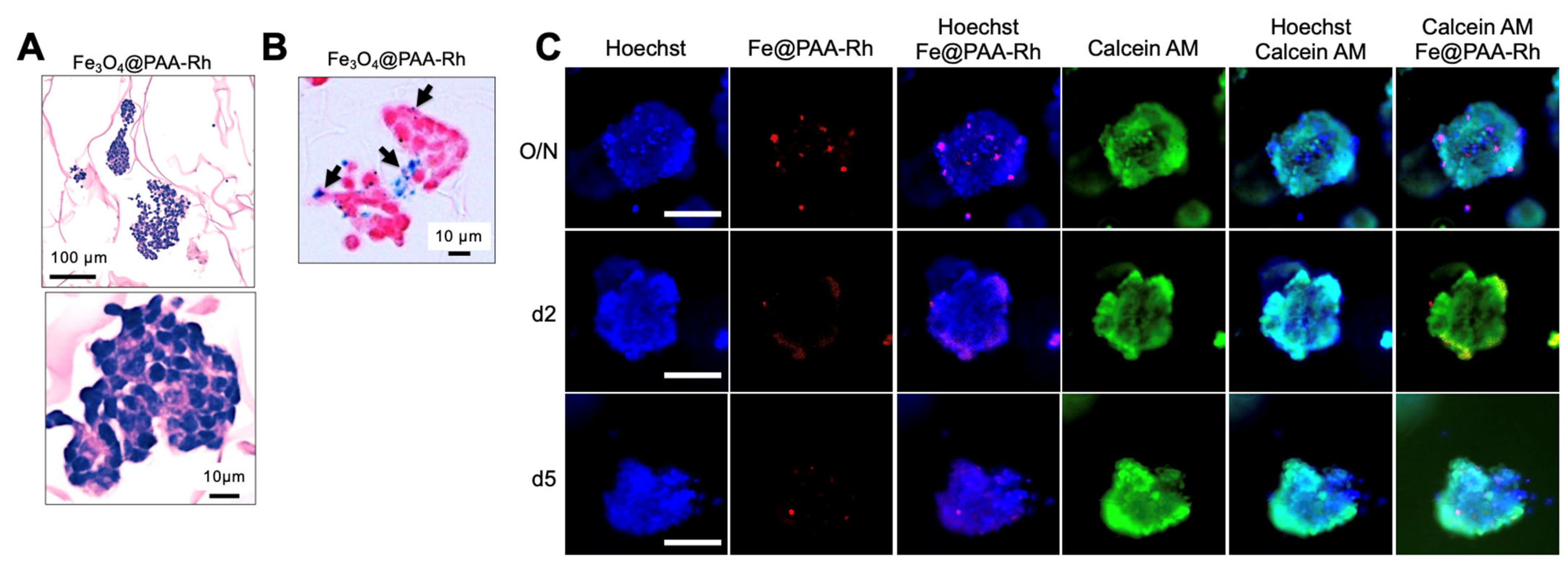 Nanomaterials 13 03097 g004